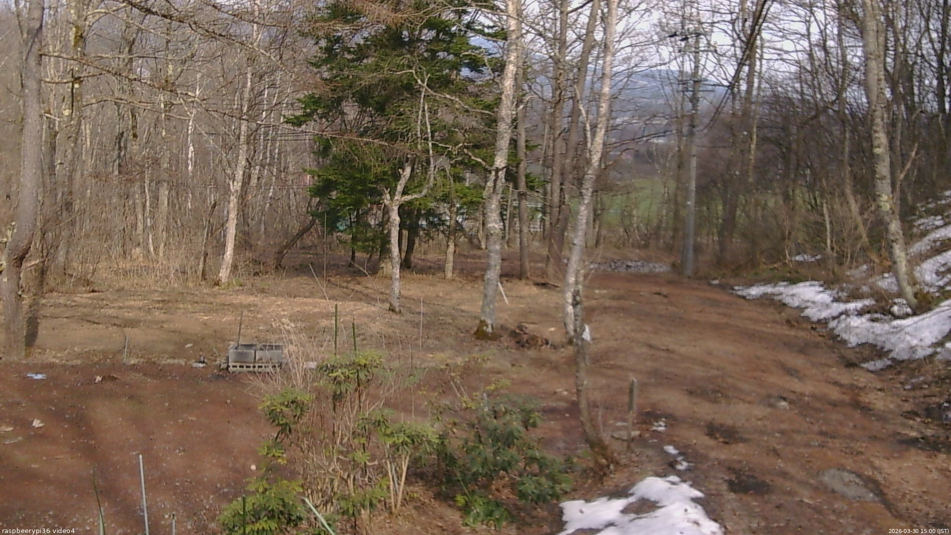 長野県菅平高原 ゆたか山荘 坂上 2026/03/30 15:00