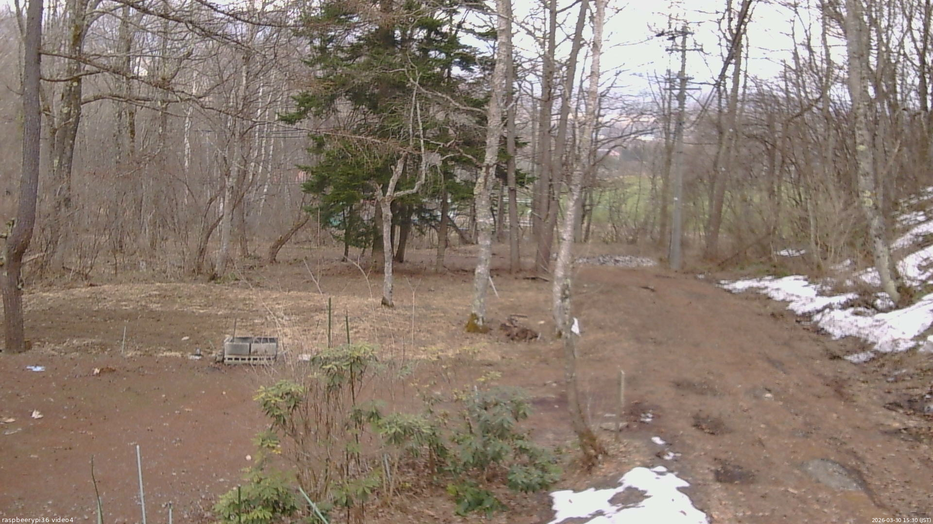 長野県菅平高原 ゆたか山荘 坂上 2026/03/30 15:30