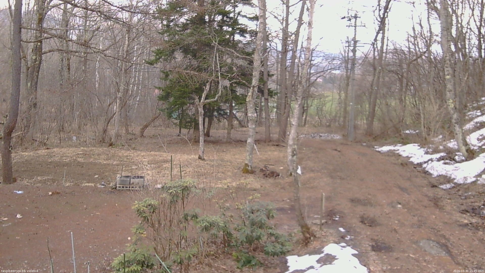 長野県菅平高原 ゆたか山荘 坂上 2026/03/30 15:45