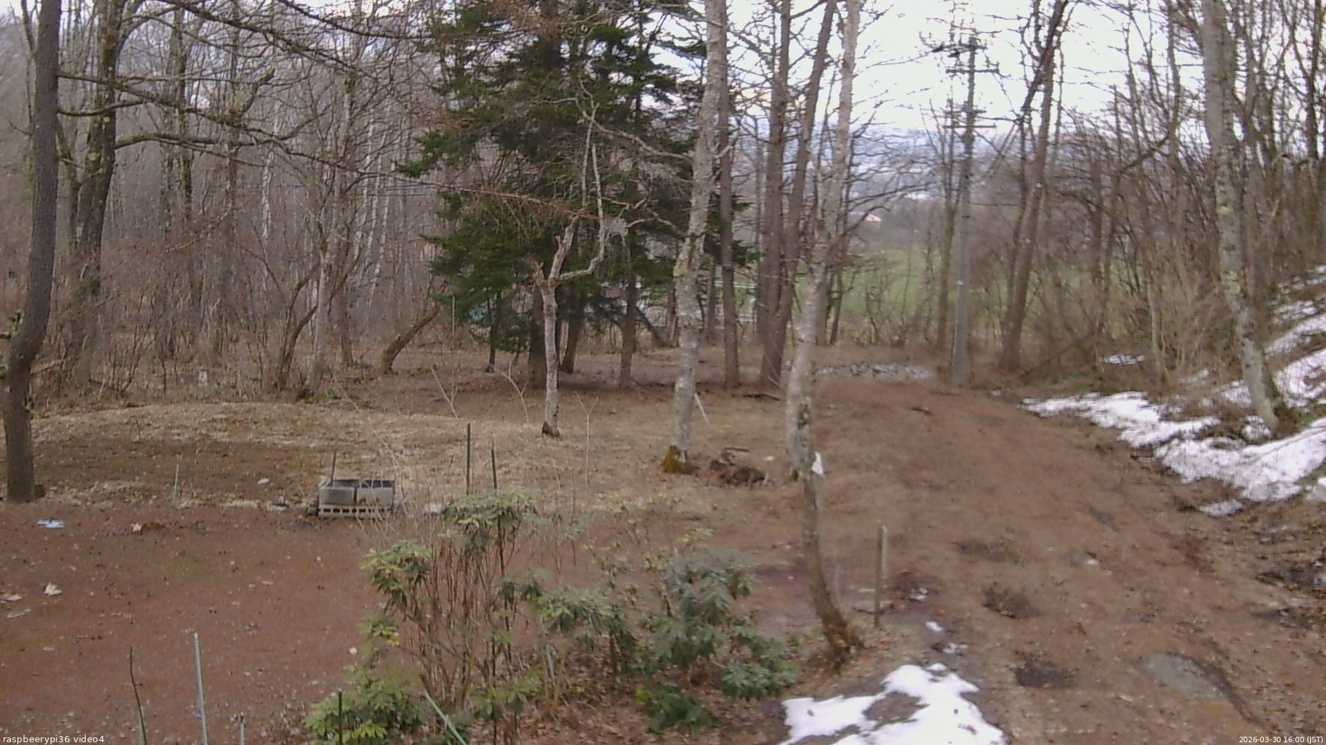 長野県菅平高原 ゆたか山荘 坂上 2026/03/30 16:00