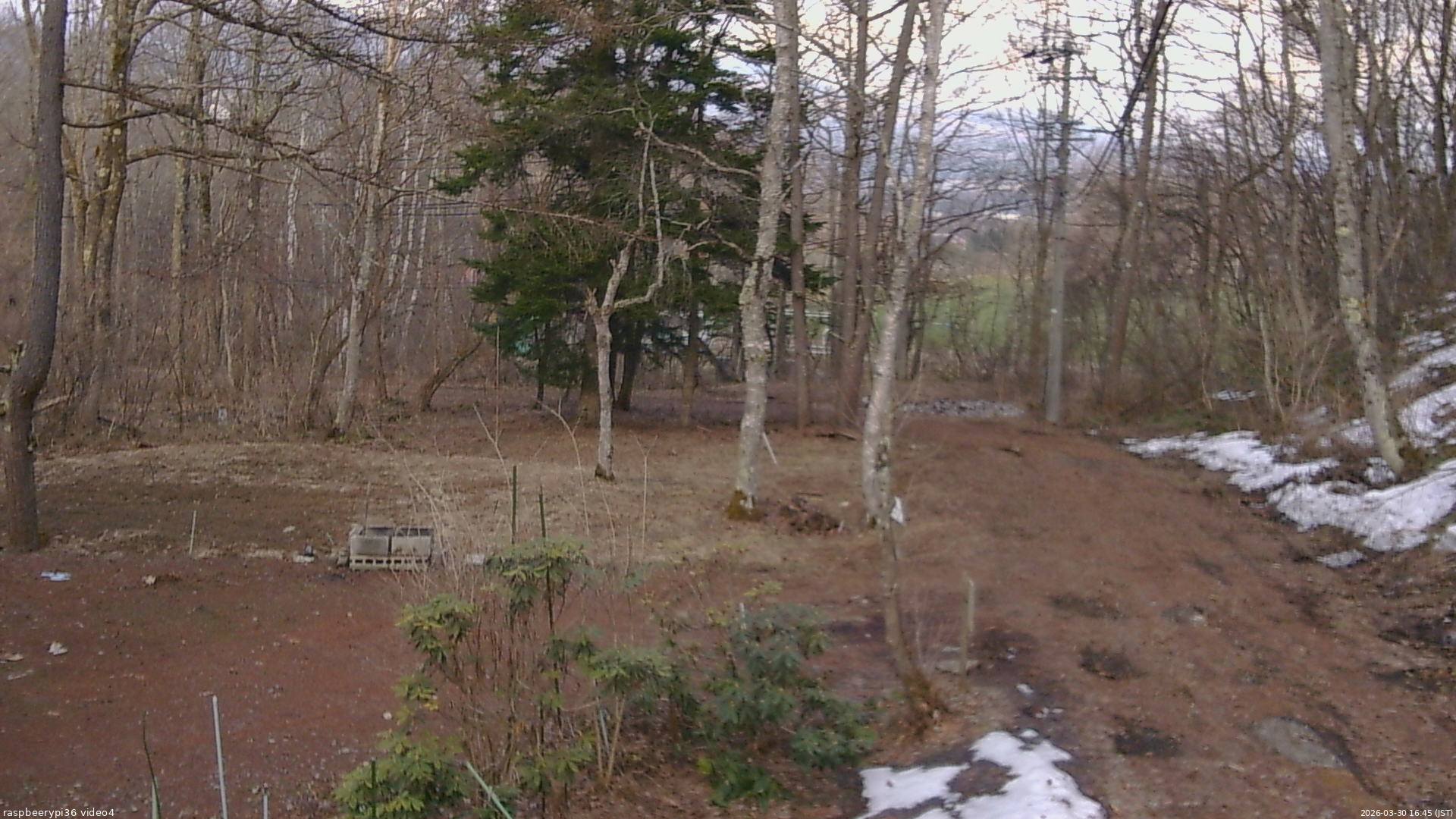 長野県菅平高原 ゆたか山荘 坂上 2026/03/30 16:45