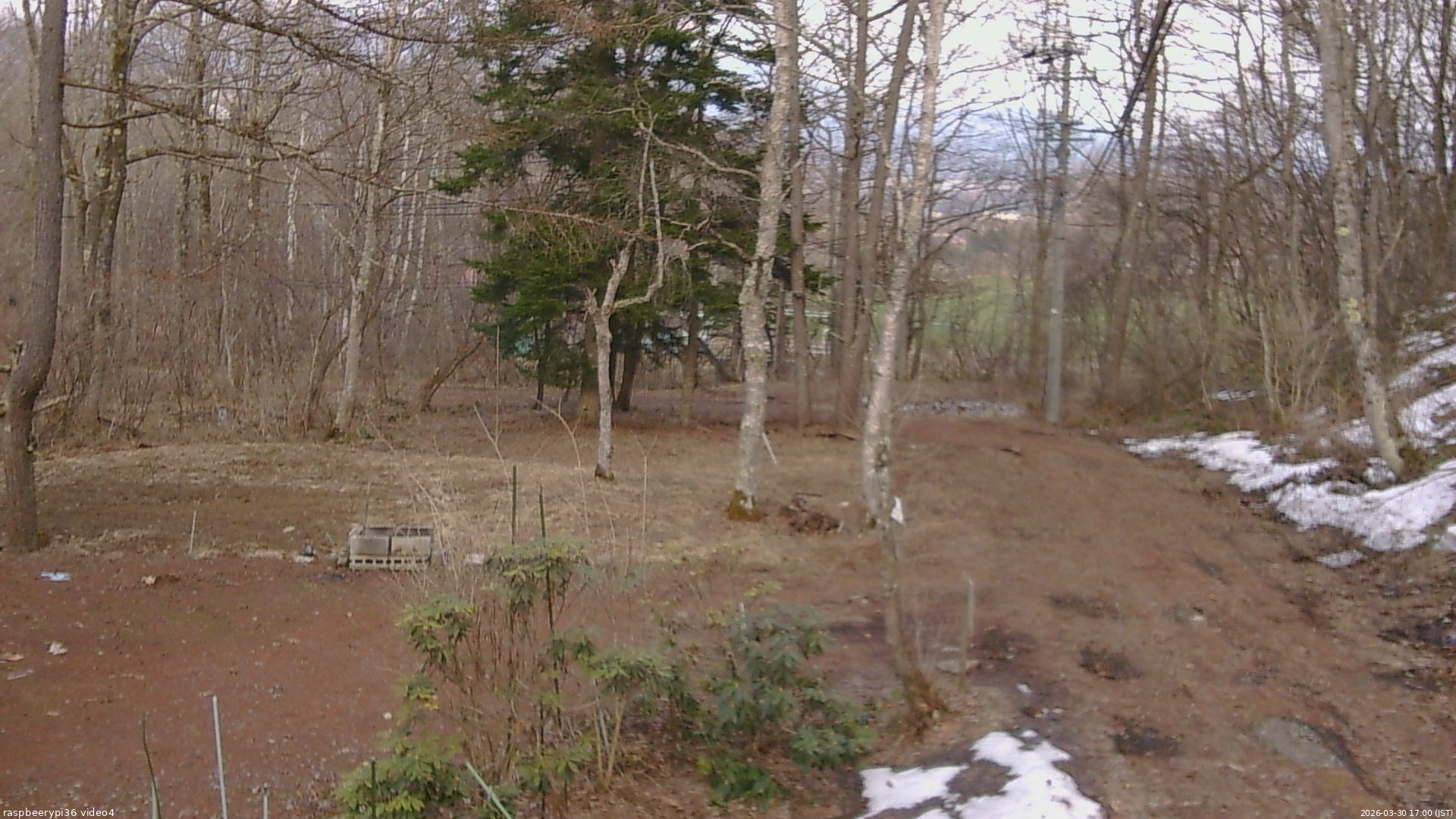 長野県菅平高原 ゆたか山荘 坂上 2026/03/30 17:00