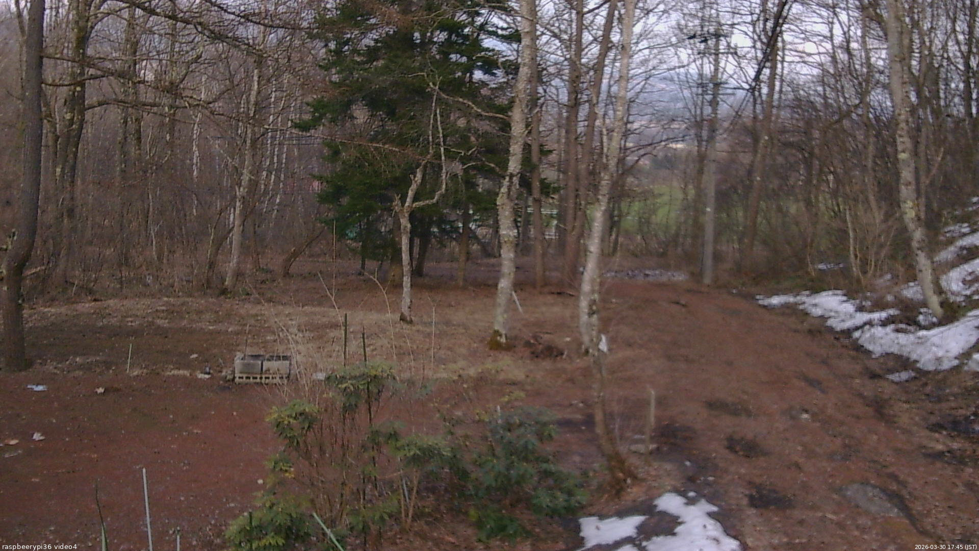 長野県菅平高原 ゆたか山荘 坂上 2026/03/30 17:45