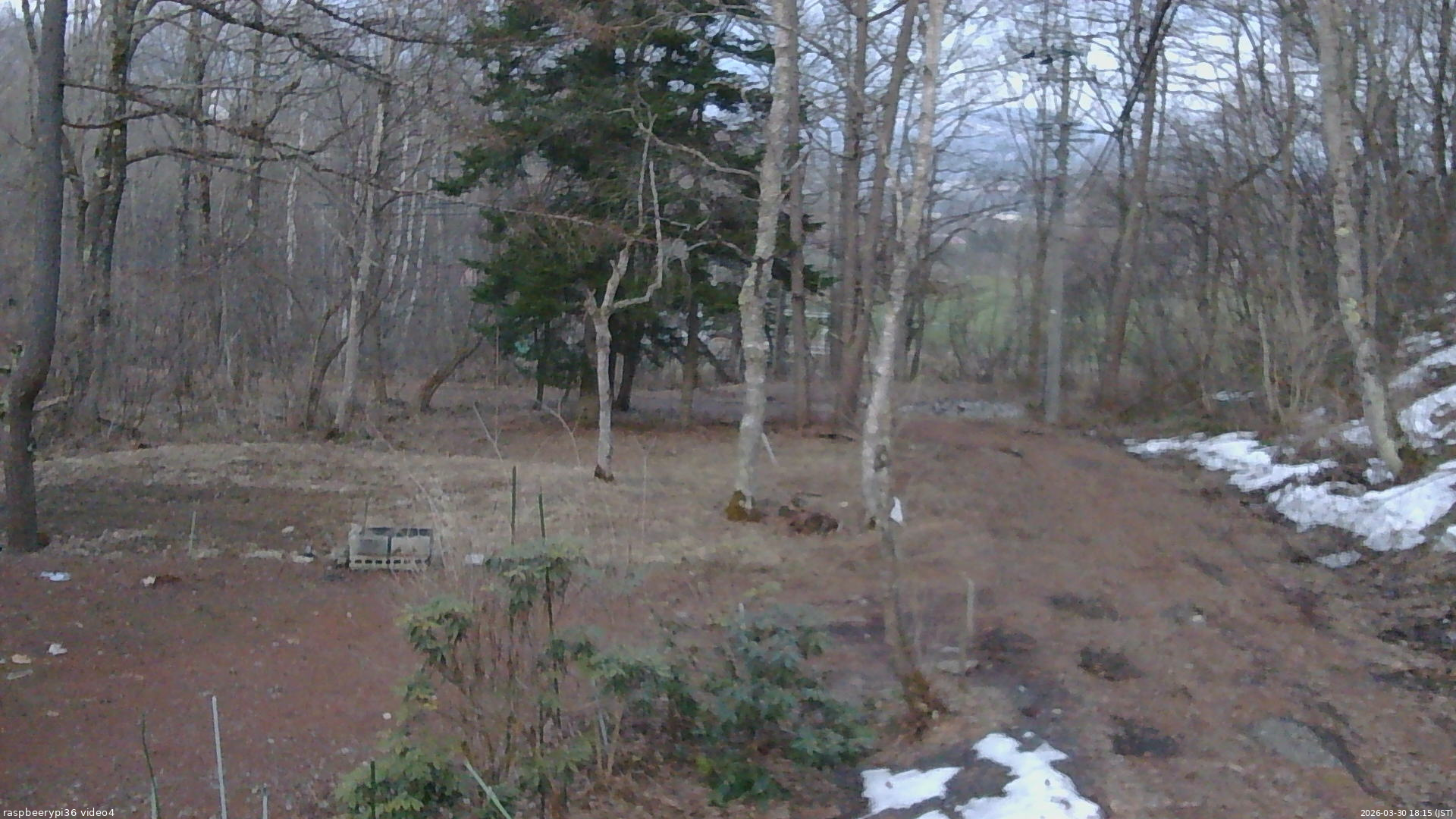 長野県菅平高原 ゆたか山荘 坂上 2026/03/30 18:15