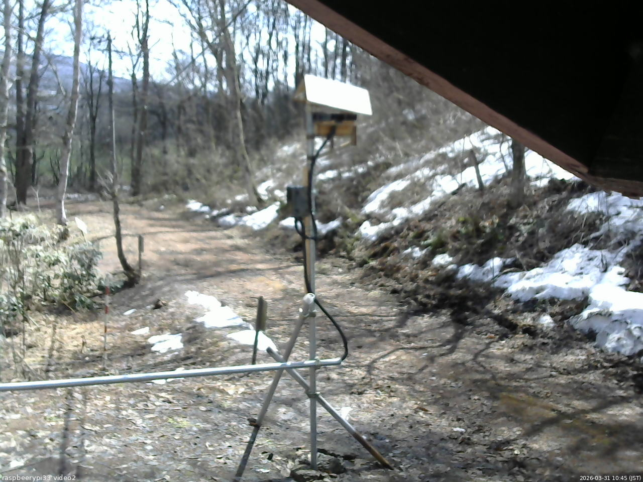長野県菅平高原 ゆたか山荘 南側 2026/03/31 10:45