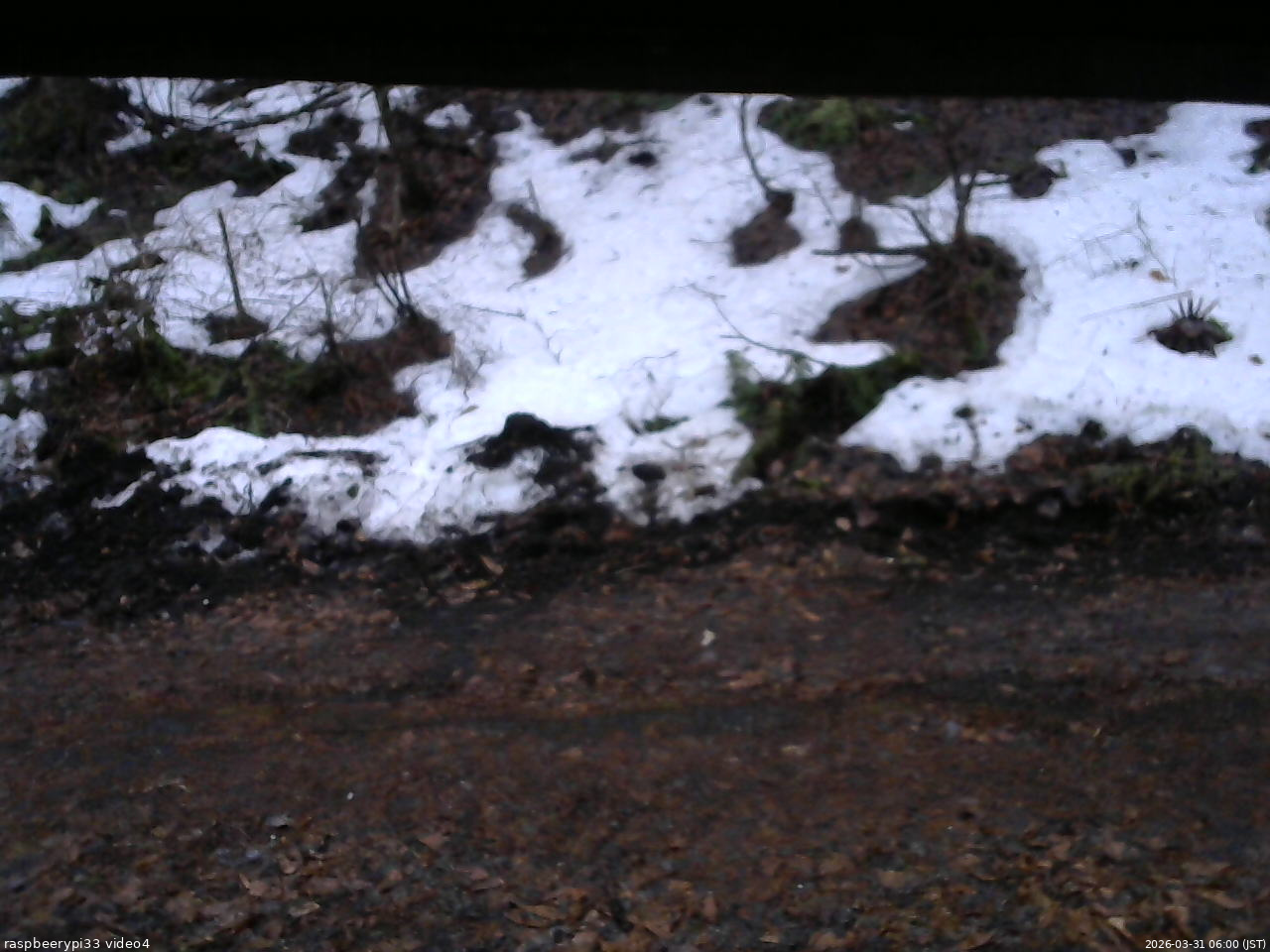 長野県菅平高原 ゆたか山荘 東側(坂下) 2026/03/31 06:00