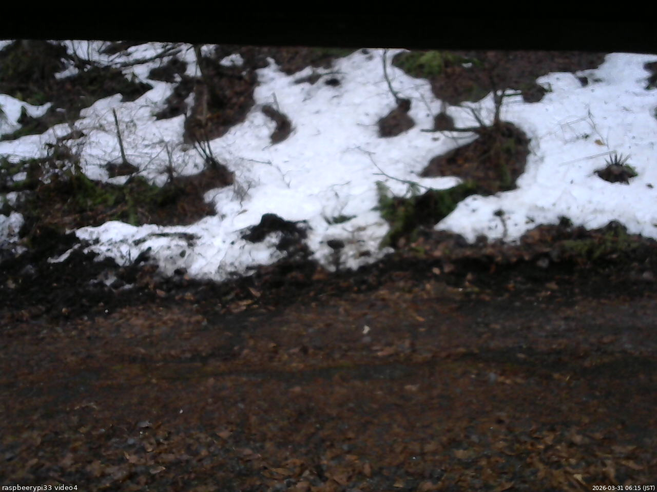 長野県菅平高原 ゆたか山荘 東側(坂下) 2026/03/31 06:15
