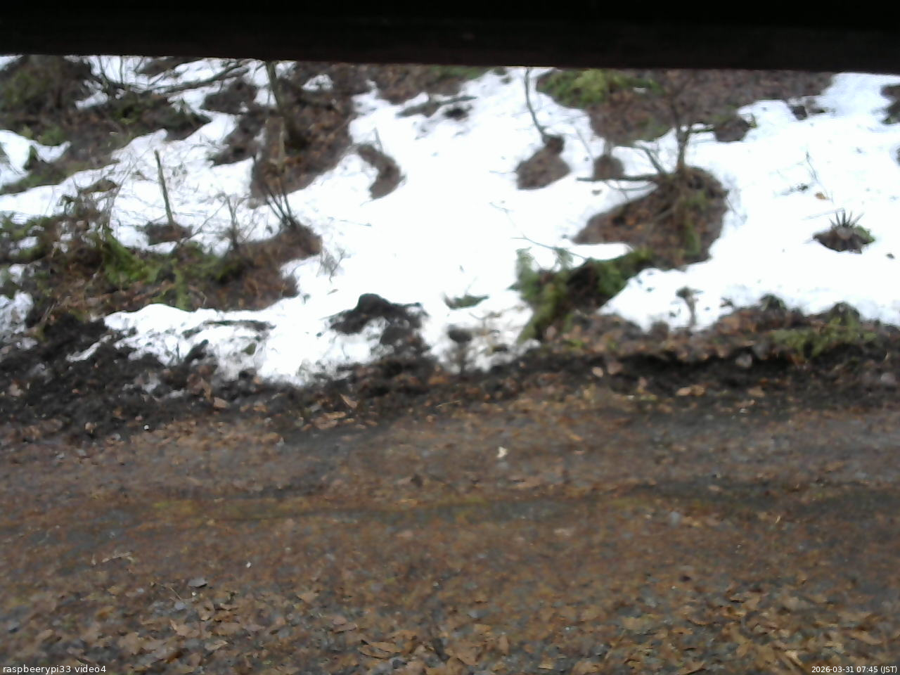 長野県菅平高原 ゆたか山荘 東側(坂下) 2026/03/31 07:45