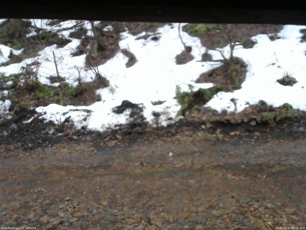 長野県菅平高原 ゆたか山荘 東側(坂下) 2026/03/31 08:15