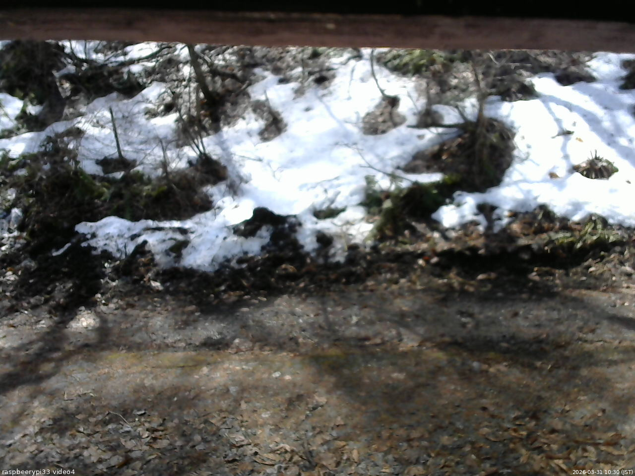 長野県菅平高原 ゆたか山荘 東側(坂下) 2026/03/31 10:30