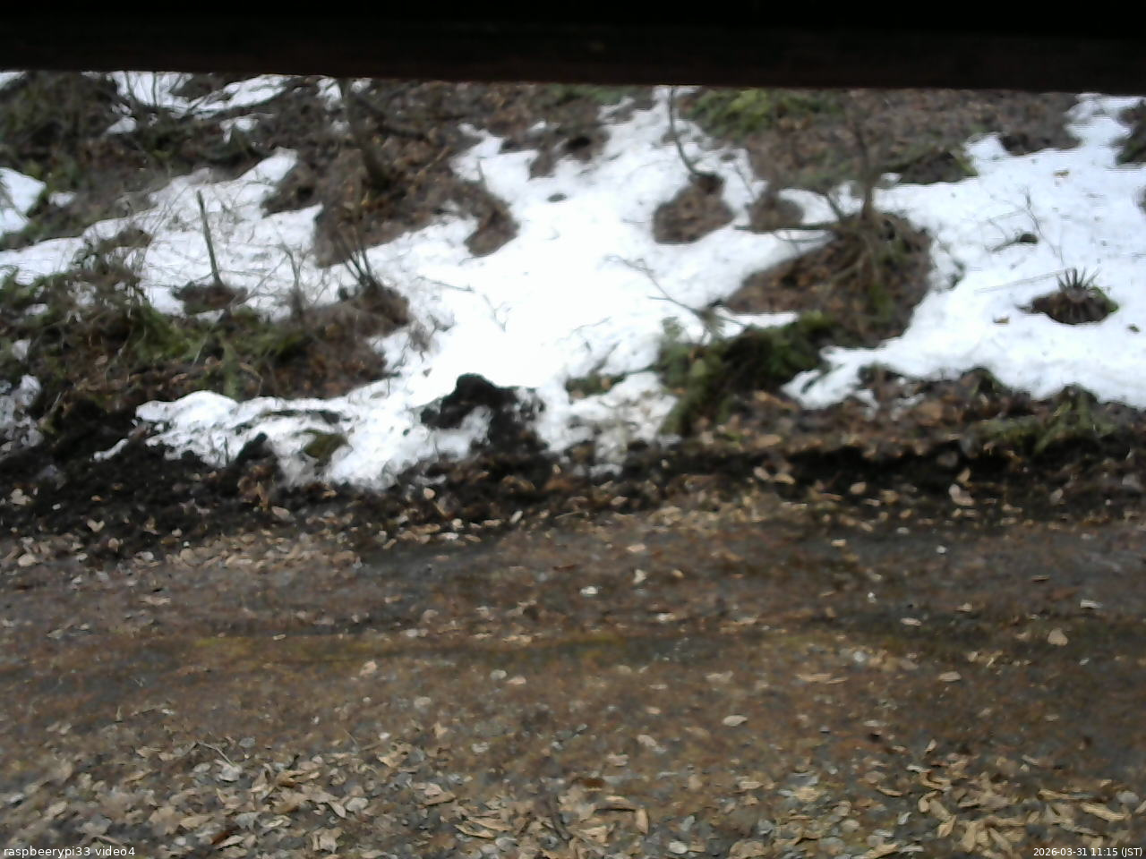 長野県菅平高原 ゆたか山荘 東側(坂下) 2026/03/31 11:15