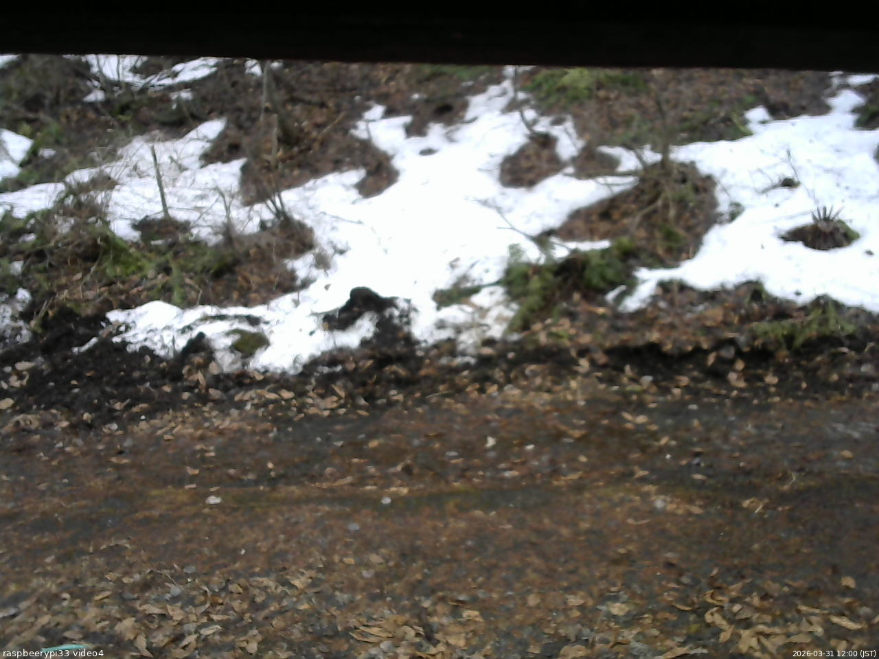 長野県菅平高原 ゆたか山荘 東側(坂下) 2026/03/31 12:00