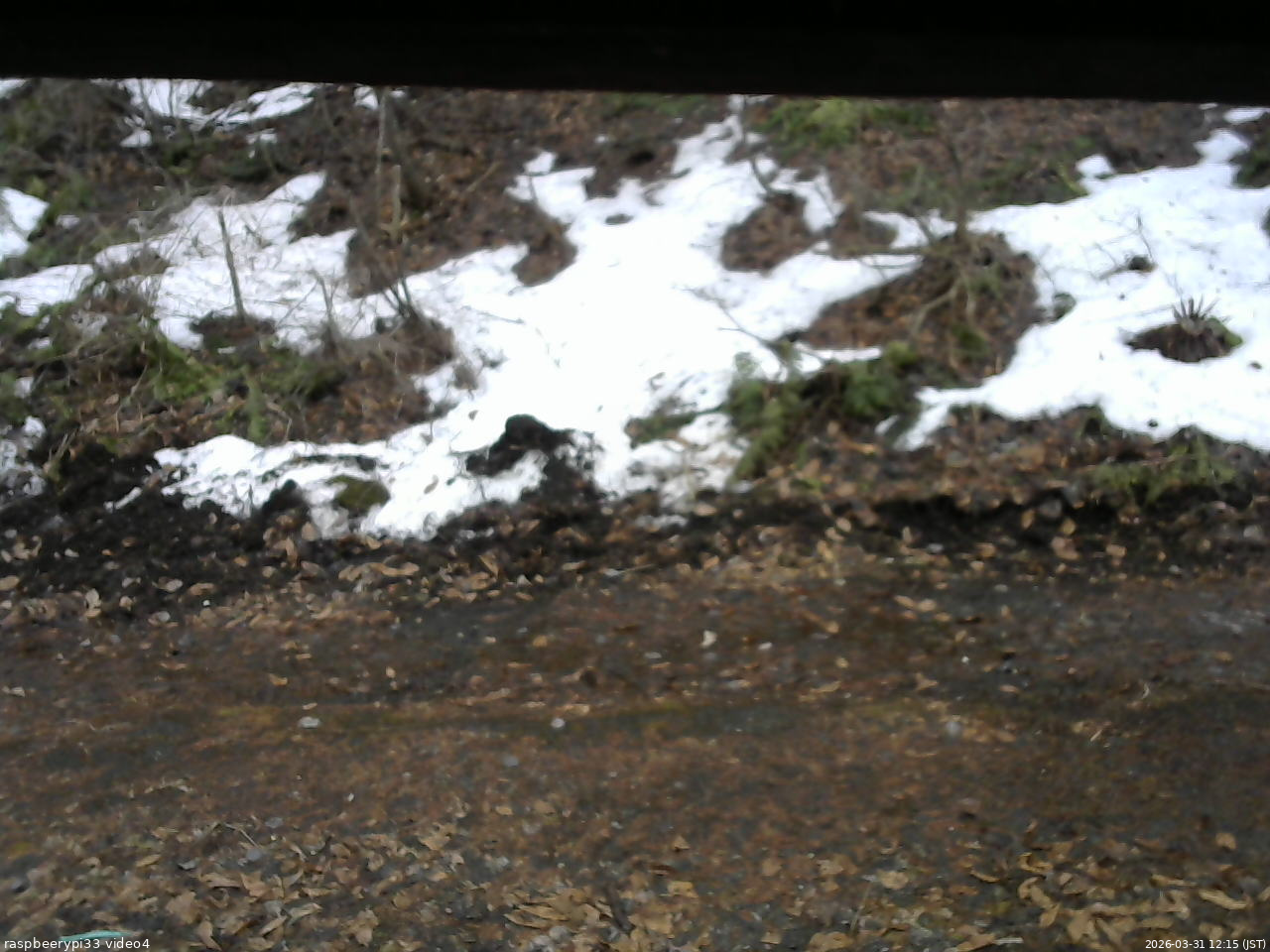 長野県菅平高原 ゆたか山荘 東側(坂下) 2026/03/31 12:15