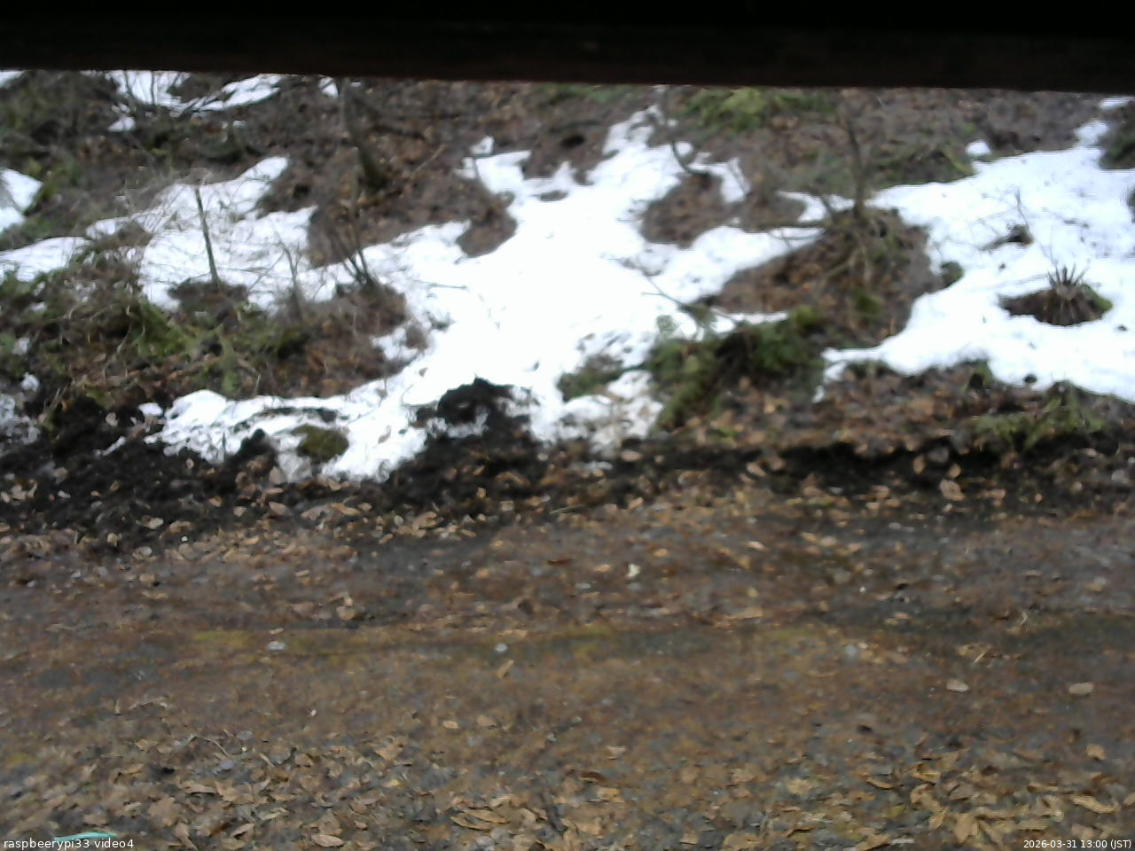 長野県菅平高原 ゆたか山荘 東側(坂下) 2026/03/31 13:00