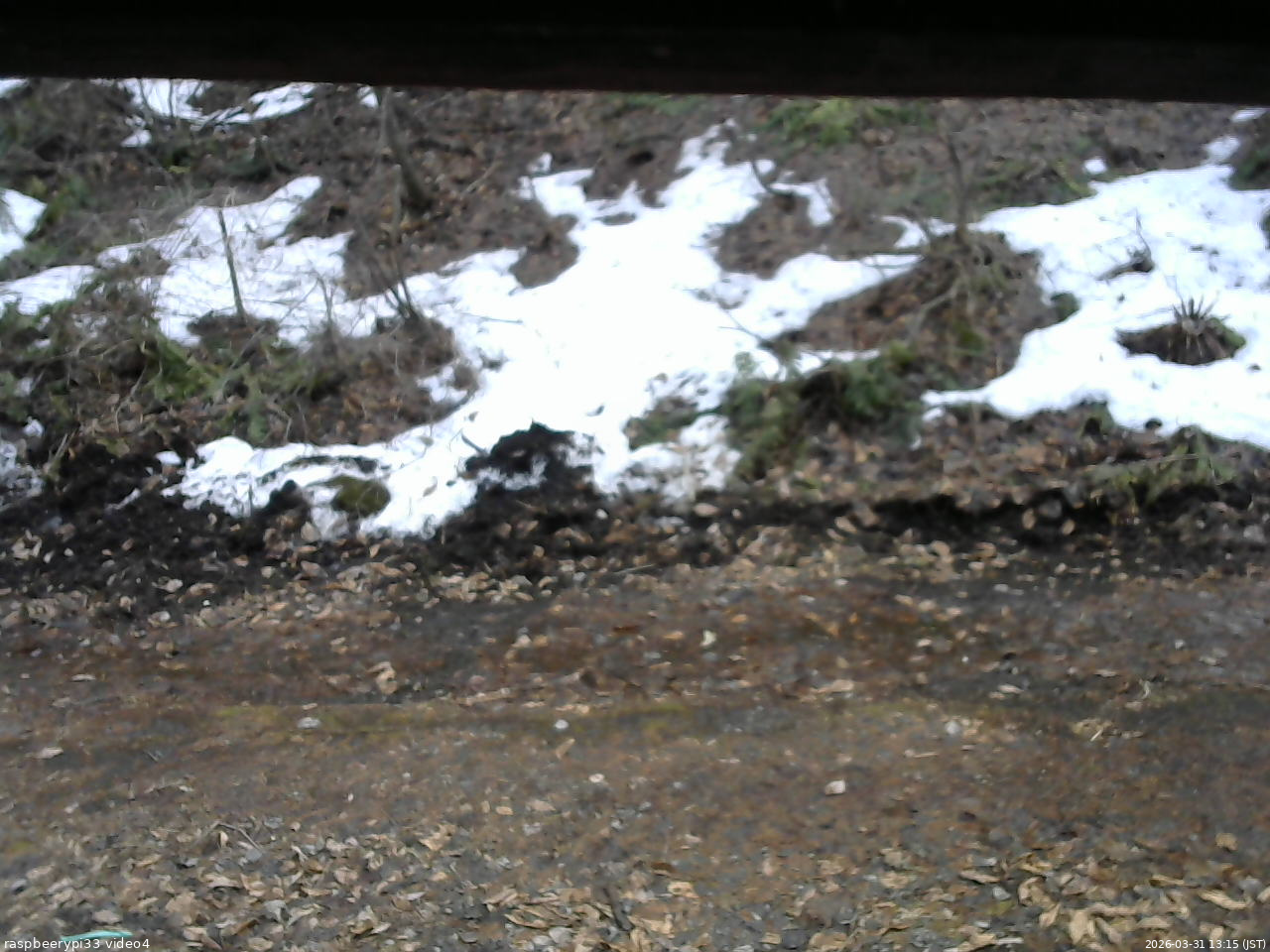 長野県菅平高原 ゆたか山荘 東側(坂下) 2026/03/31 13:15