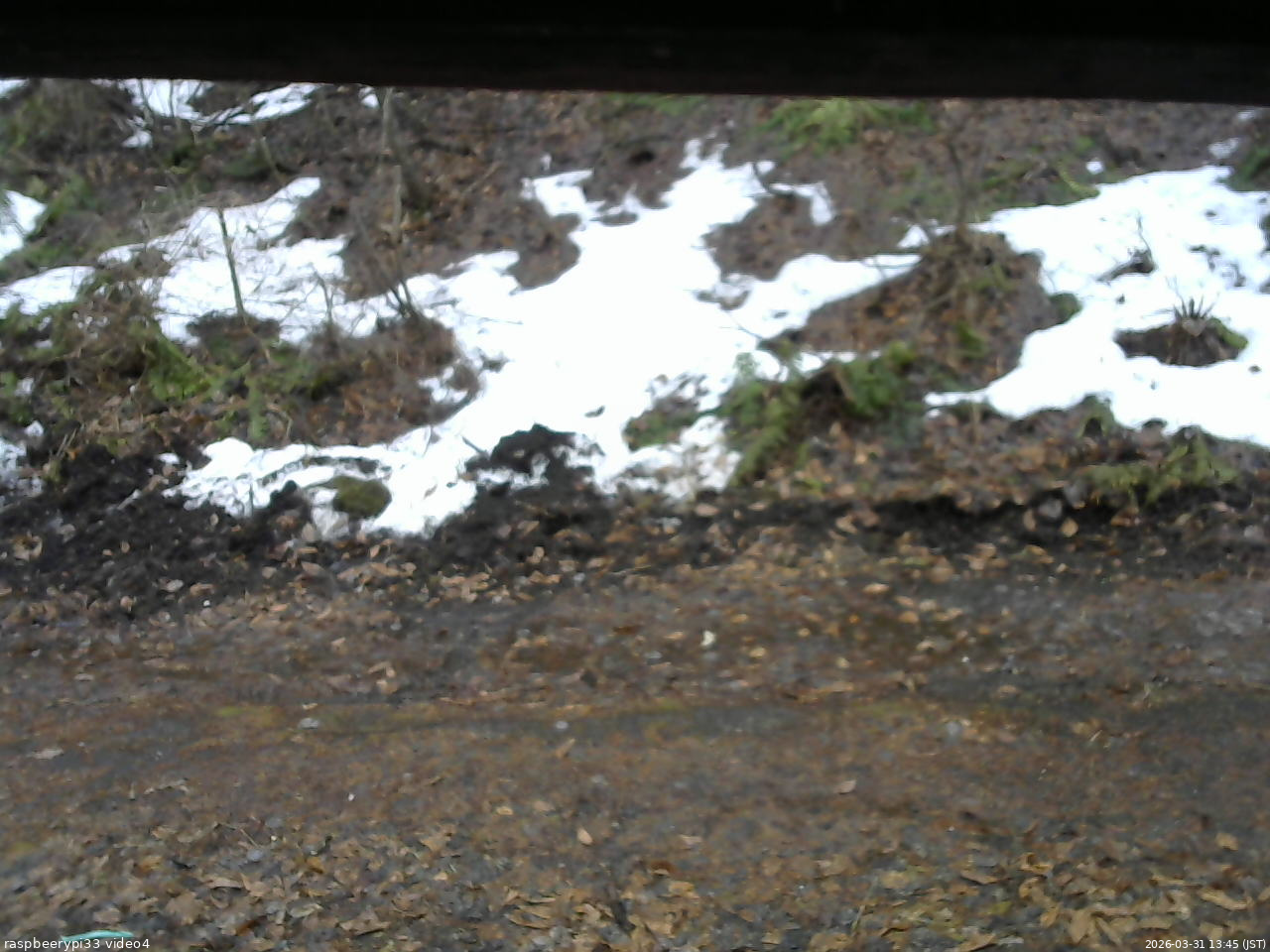 長野県菅平高原 ゆたか山荘 東側(坂下) 2026/03/31 13:45