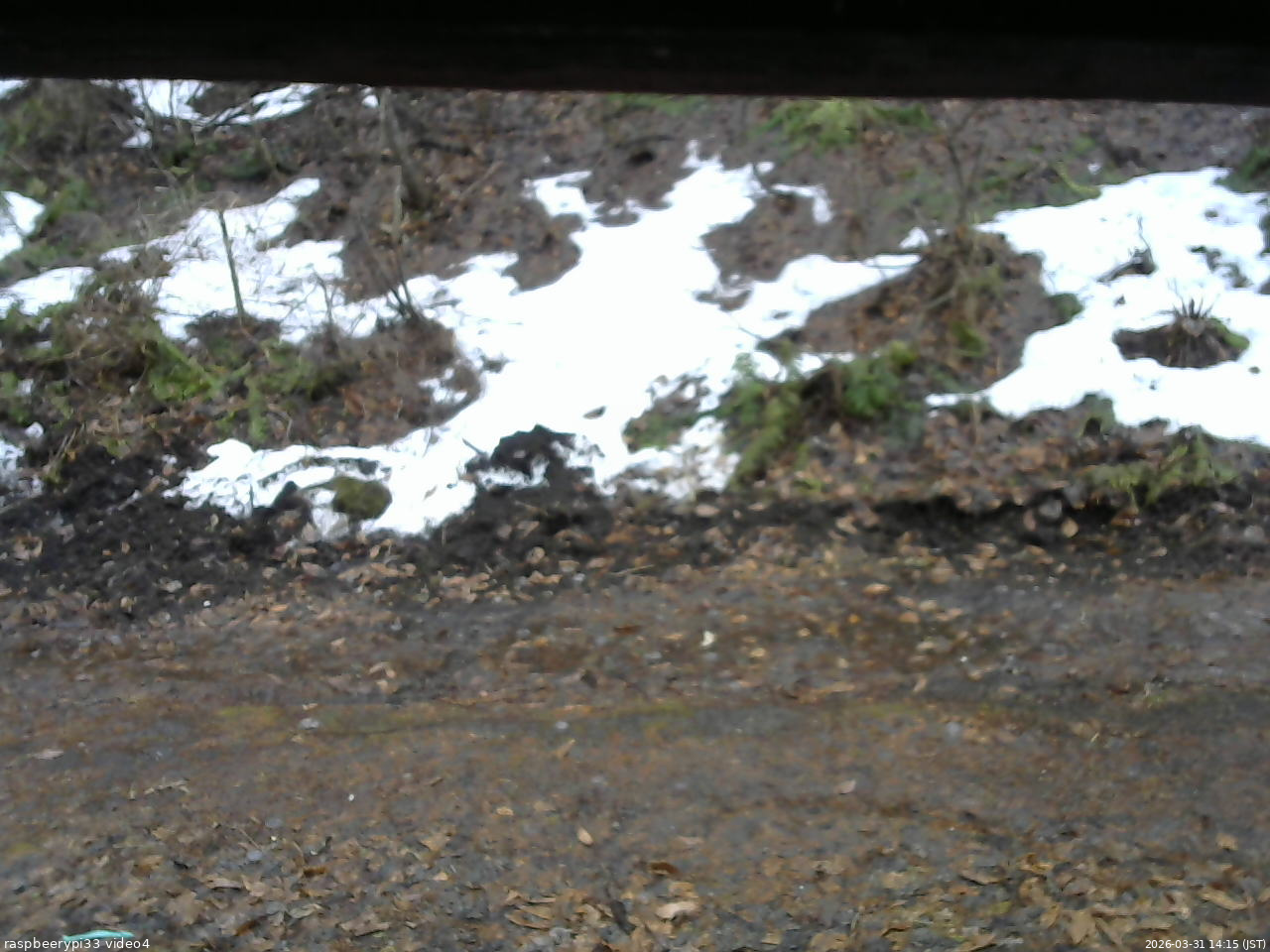 長野県菅平高原 ゆたか山荘 東側(坂下) 2026/03/31 14:15