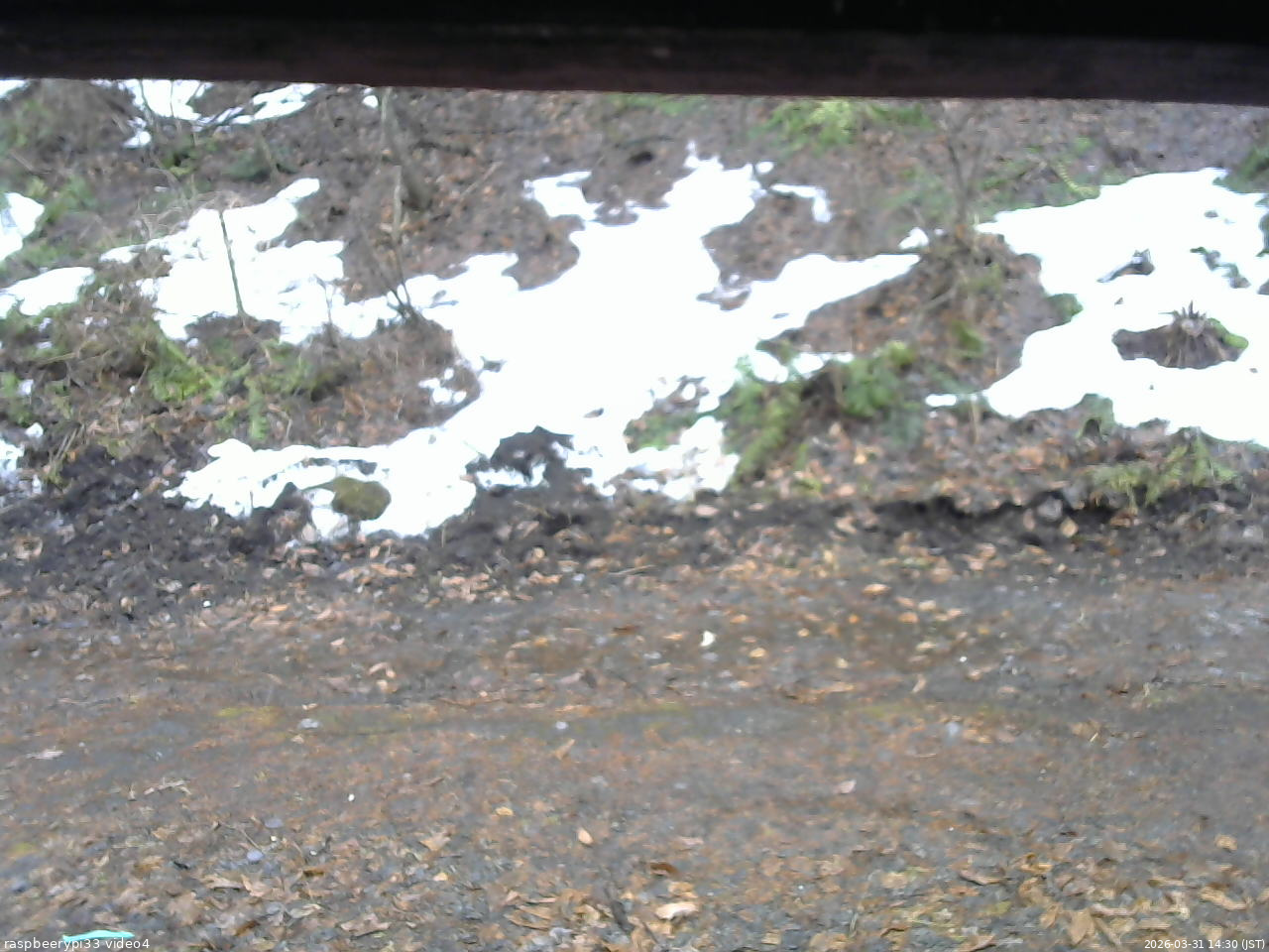 長野県菅平高原 ゆたか山荘 東側(坂下) 2026/03/31 14:30
