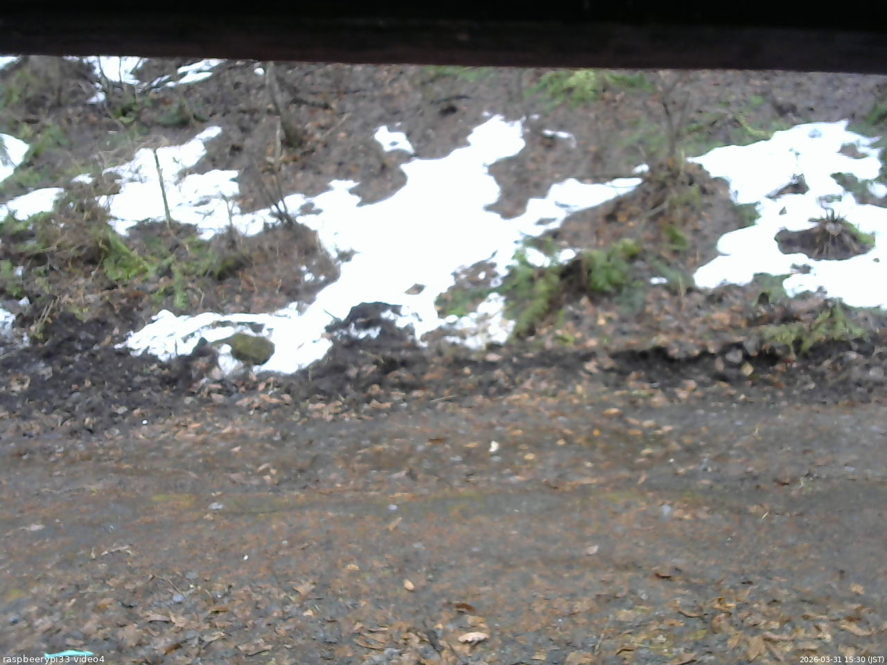 長野県菅平高原 ゆたか山荘 東側(坂下) 2026/03/31 15:30