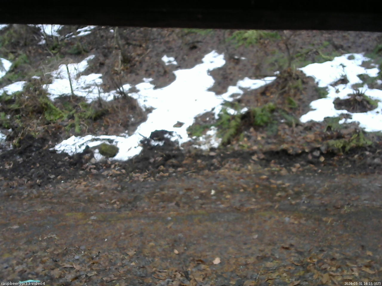 長野県菅平高原 ゆたか山荘 東側(坂下) 2026/03/31 16:15