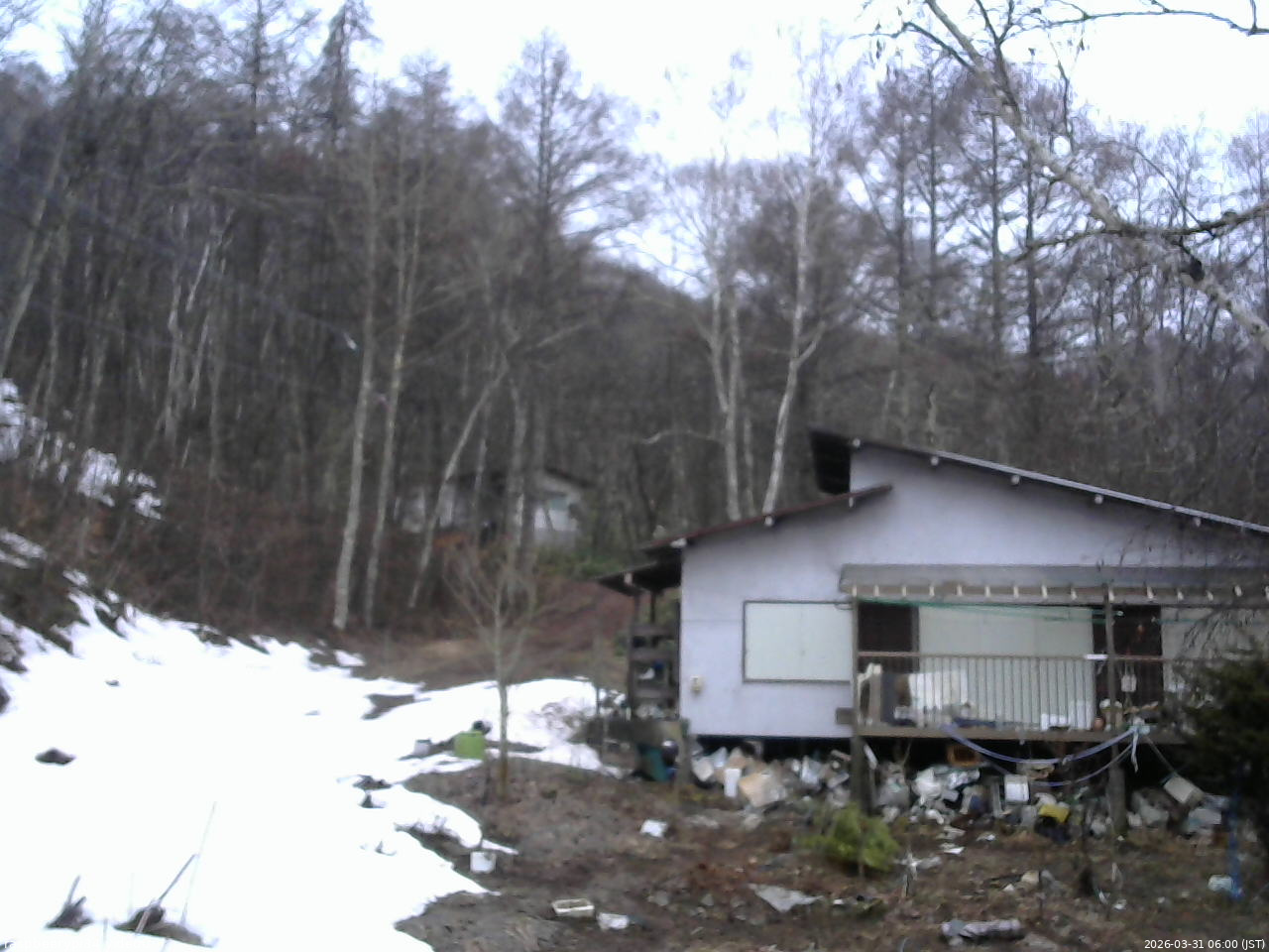 長野県菅平高原 ゆたか山荘 西側(坂上) 2026/03/31 06:00