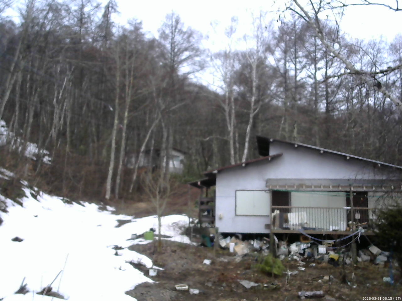 長野県菅平高原 ゆたか山荘 西側(坂上) 2026/03/31 06:15