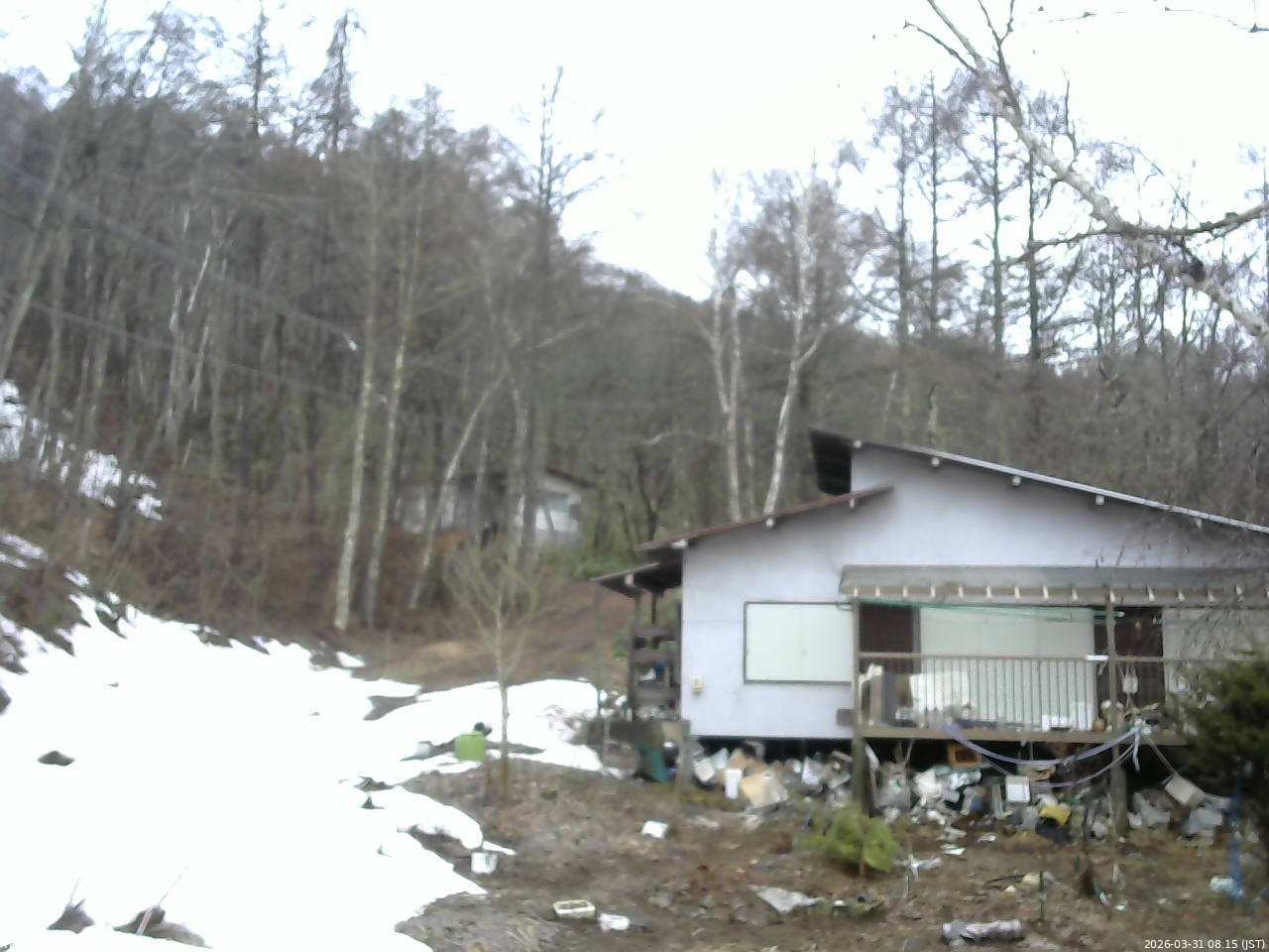 長野県菅平高原 ゆたか山荘 西側(坂上) 2026/03/31 08:15