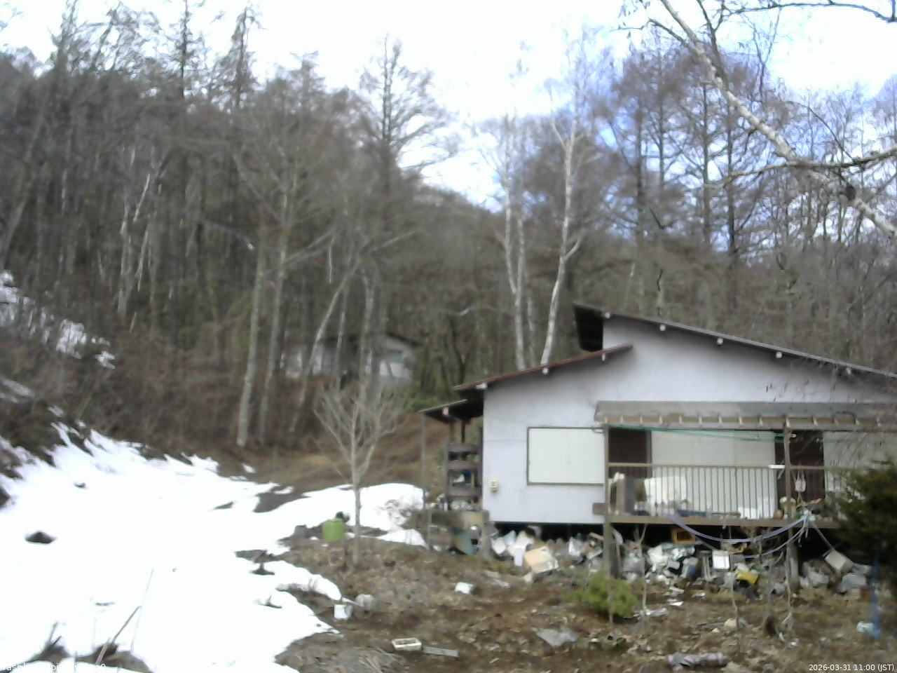 長野県菅平高原 ゆたか山荘 西側(坂上) 2026/03/31 11:00