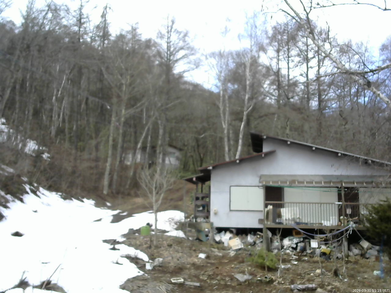長野県菅平高原 ゆたか山荘 西側(坂上) 2026/03/31 11:15