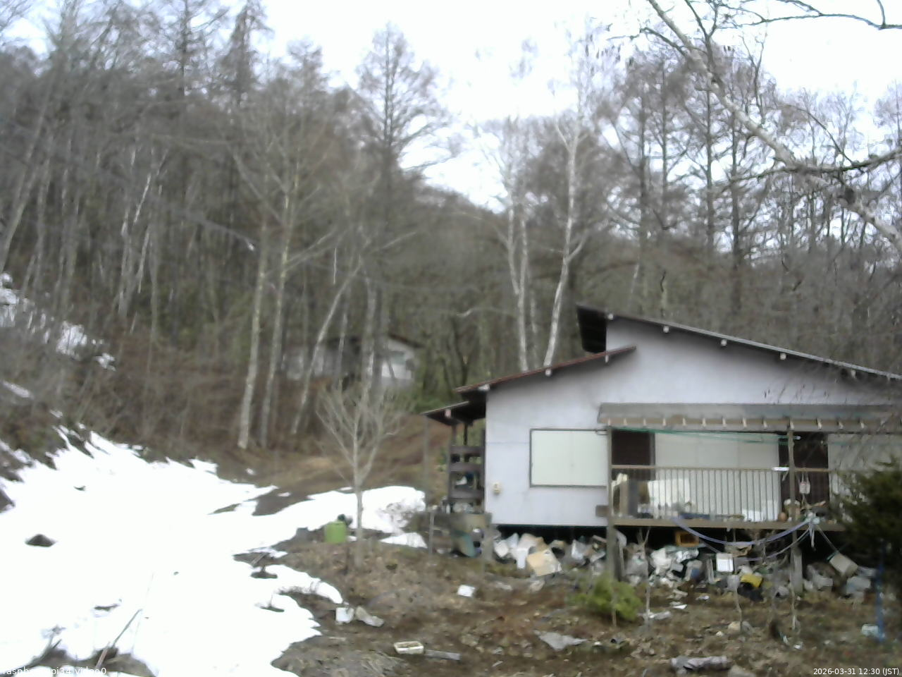 長野県菅平高原 ゆたか山荘 西側(坂上) 2026/03/31 12:30