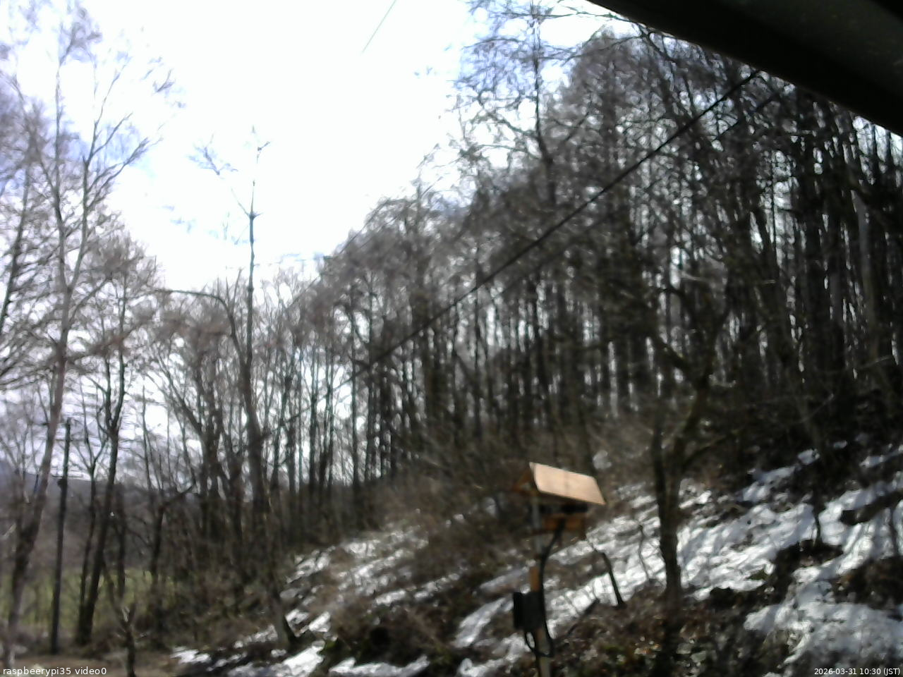 長野県菅平高原 ゆたか山荘 温度計 2026/03/31 10:30