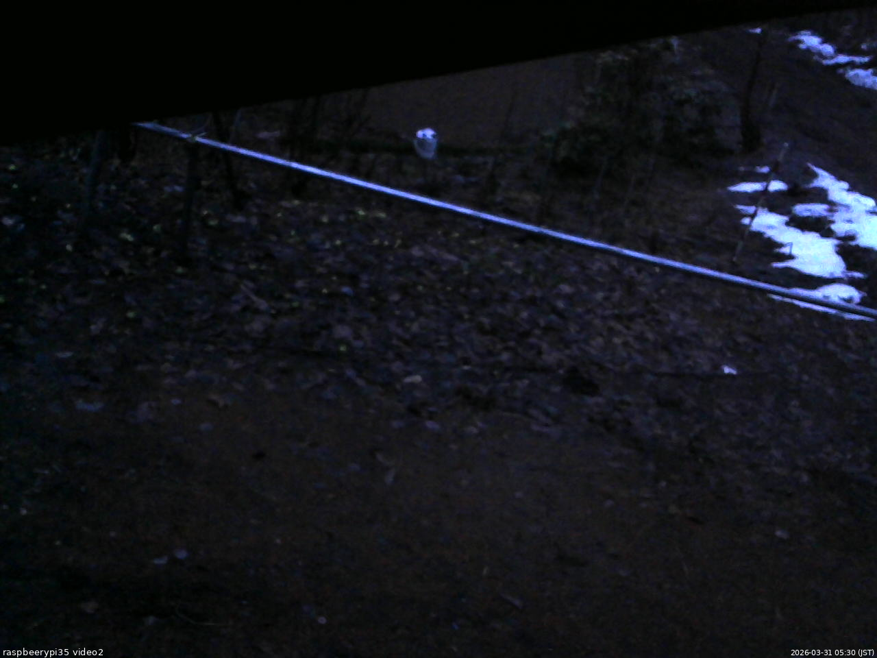 長野県菅平高原 ゆたか山荘 駐車場 2026/03/31 05:30