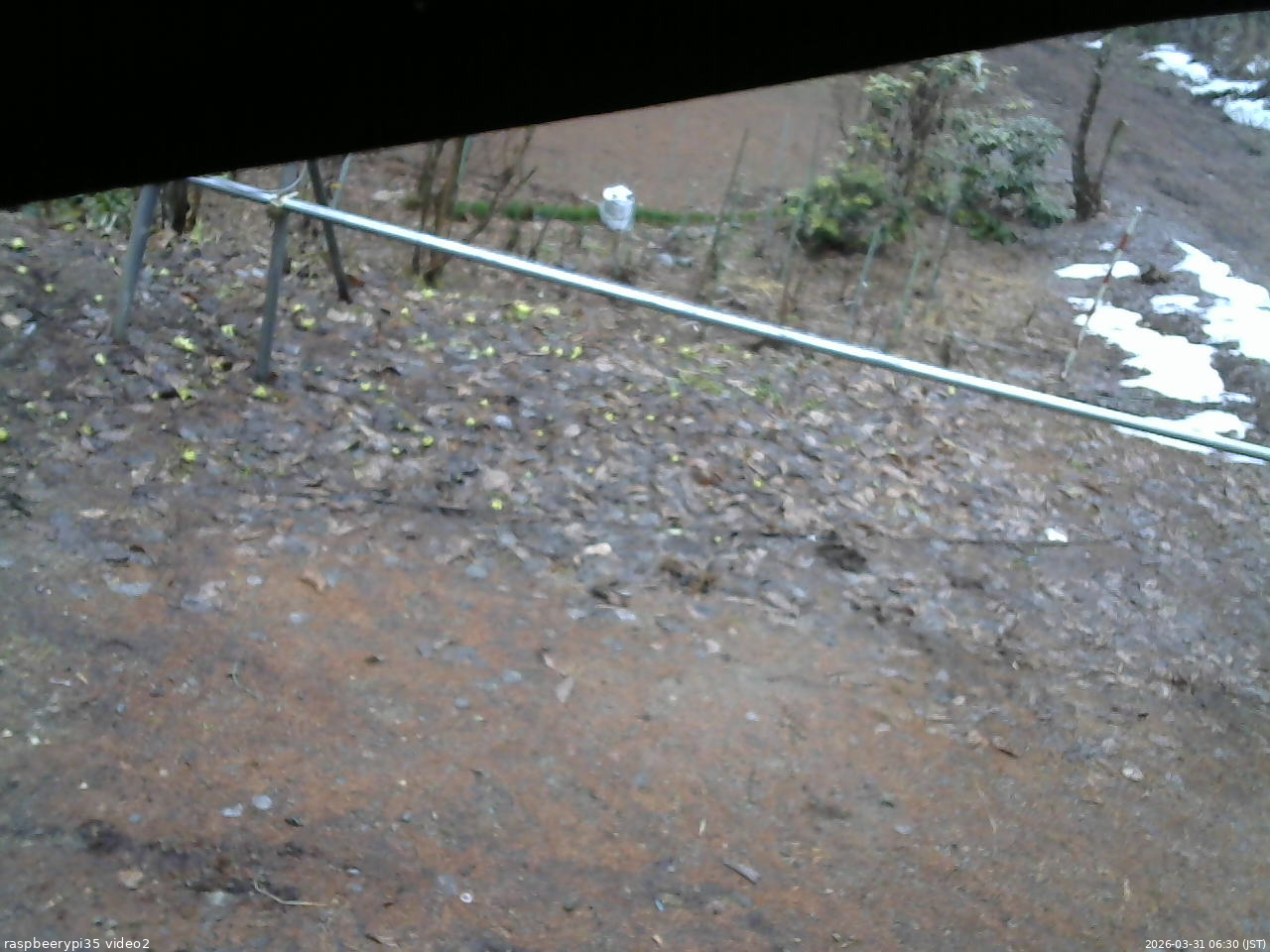 長野県菅平高原 ゆたか山荘 駐車場 2026/03/31 06:30