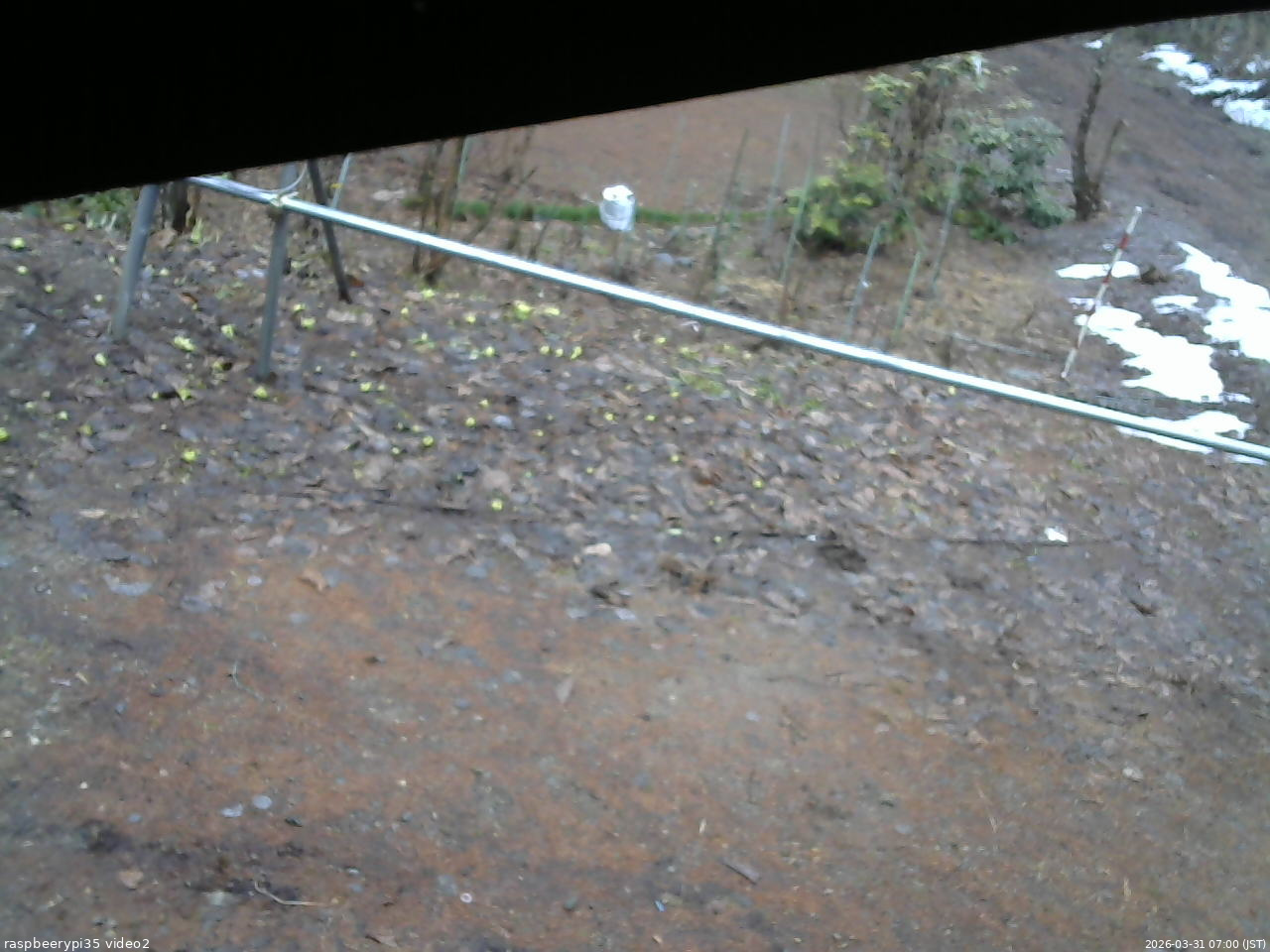 長野県菅平高原 ゆたか山荘 駐車場 2026/03/31 07:00