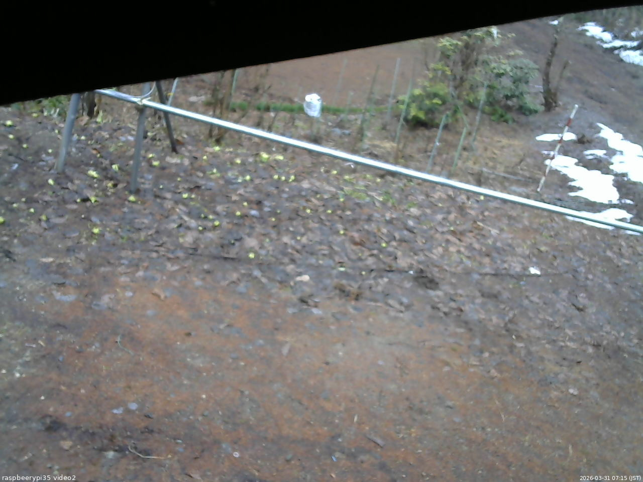 長野県菅平高原 ゆたか山荘 駐車場 2026/03/31 07:15