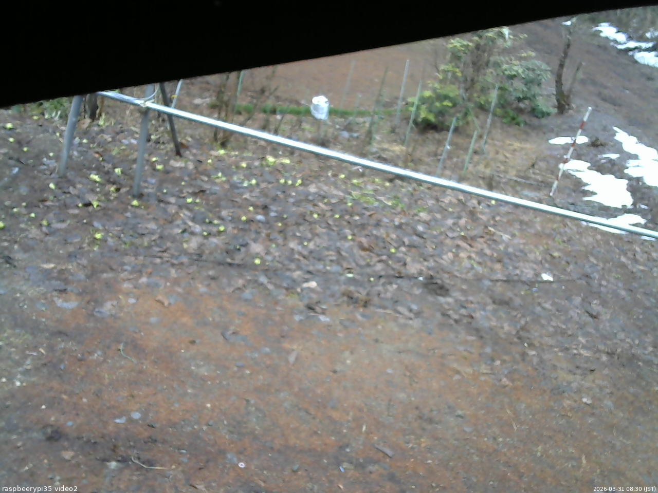 長野県菅平高原 ゆたか山荘 駐車場 2026/03/31 08:30