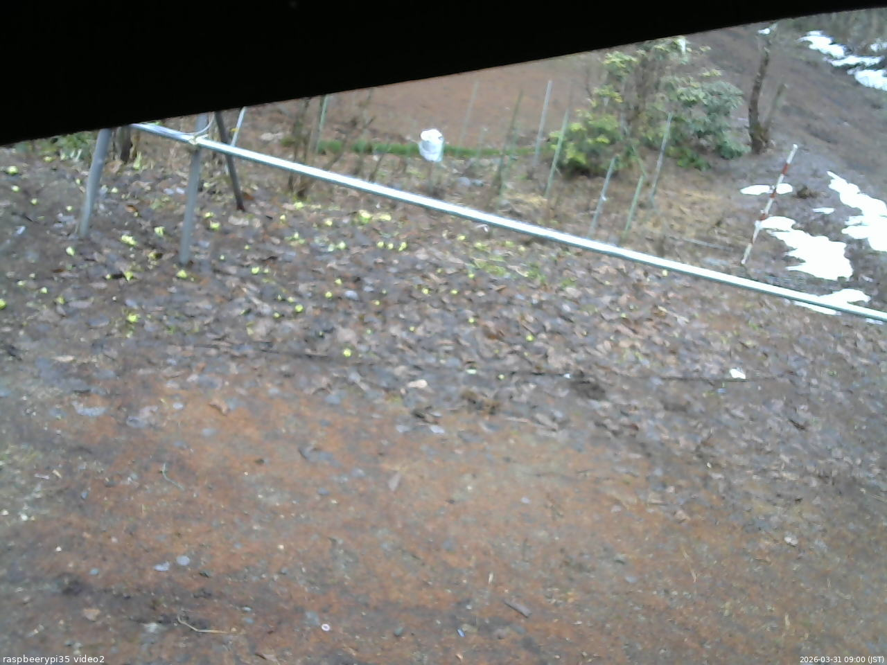 長野県菅平高原 ゆたか山荘 駐車場 2026/03/31 09:00