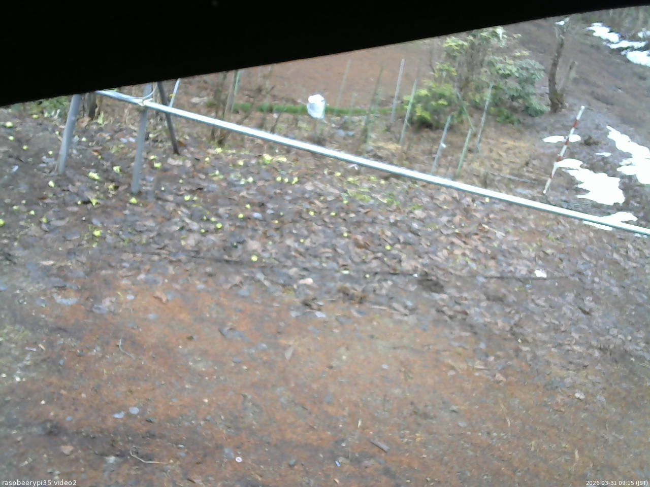 長野県菅平高原 ゆたか山荘 駐車場 2026/03/31 09:15