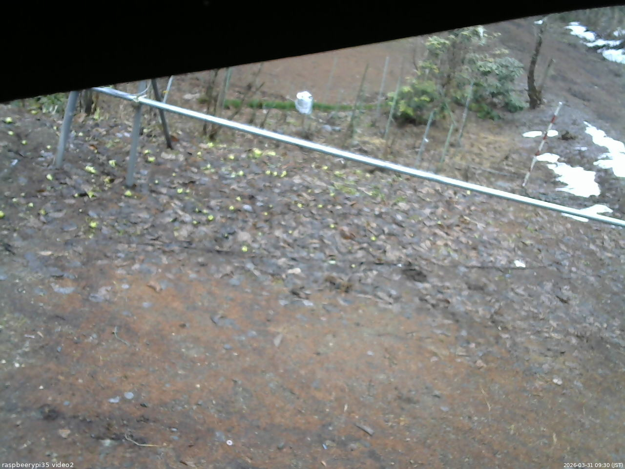 長野県菅平高原 ゆたか山荘 駐車場 2026/03/31 09:30