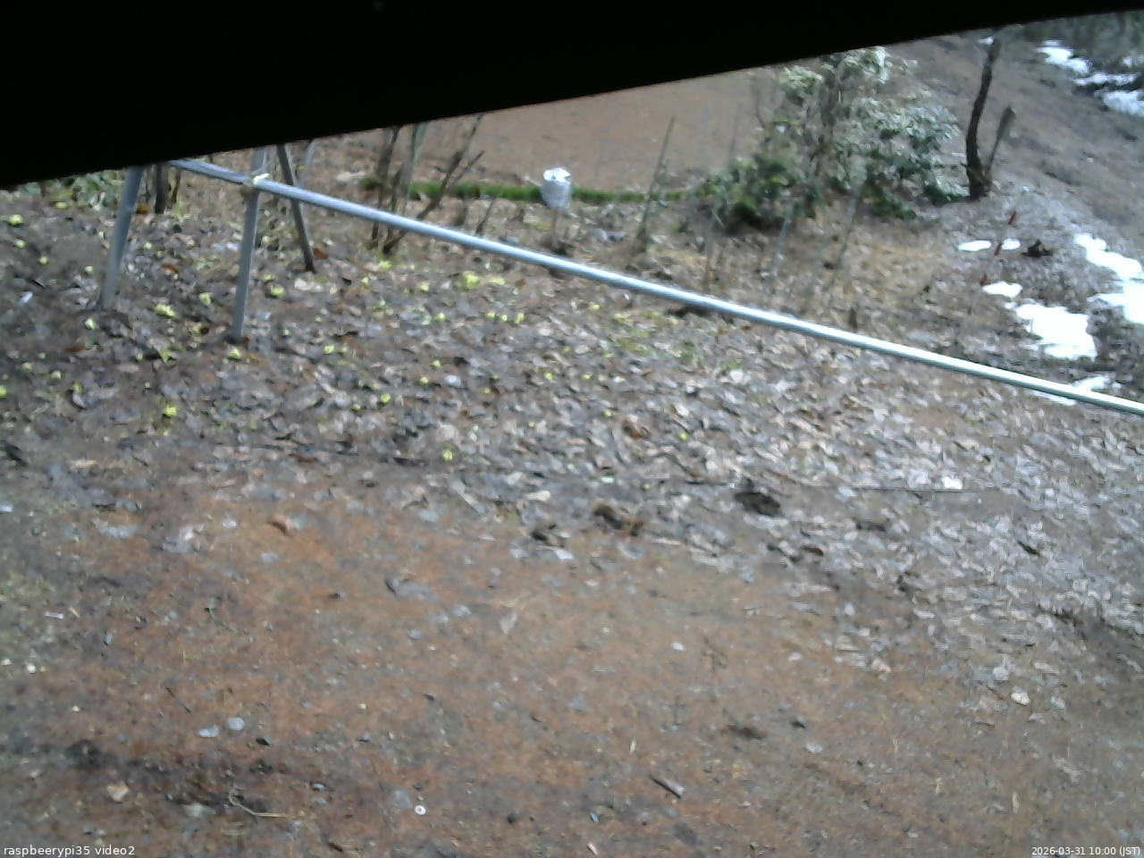 長野県菅平高原 ゆたか山荘 駐車場 2026/03/31 10:00
