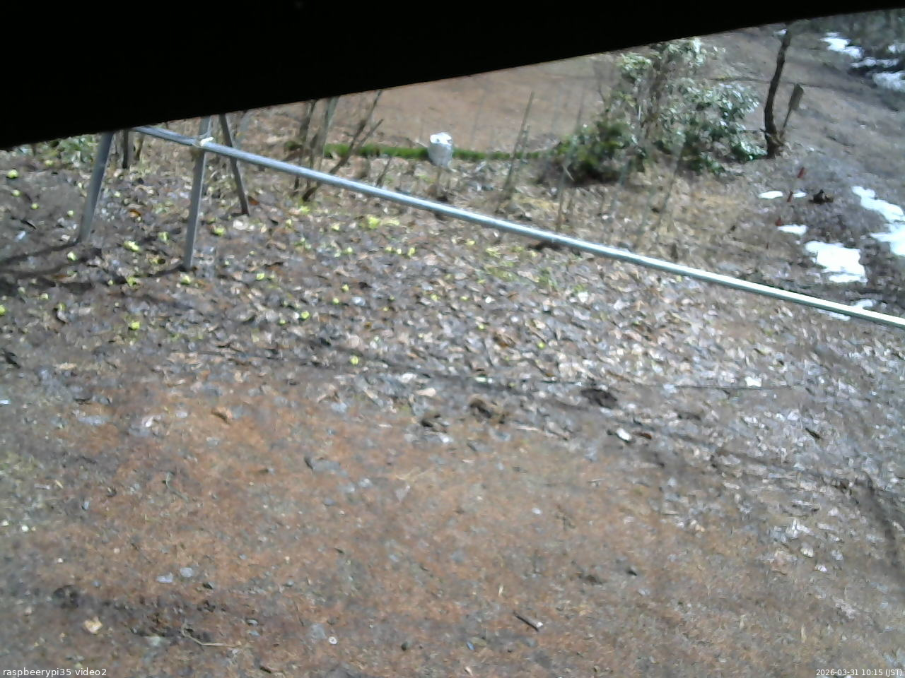 長野県菅平高原 ゆたか山荘 駐車場 2026/03/31 10:15
