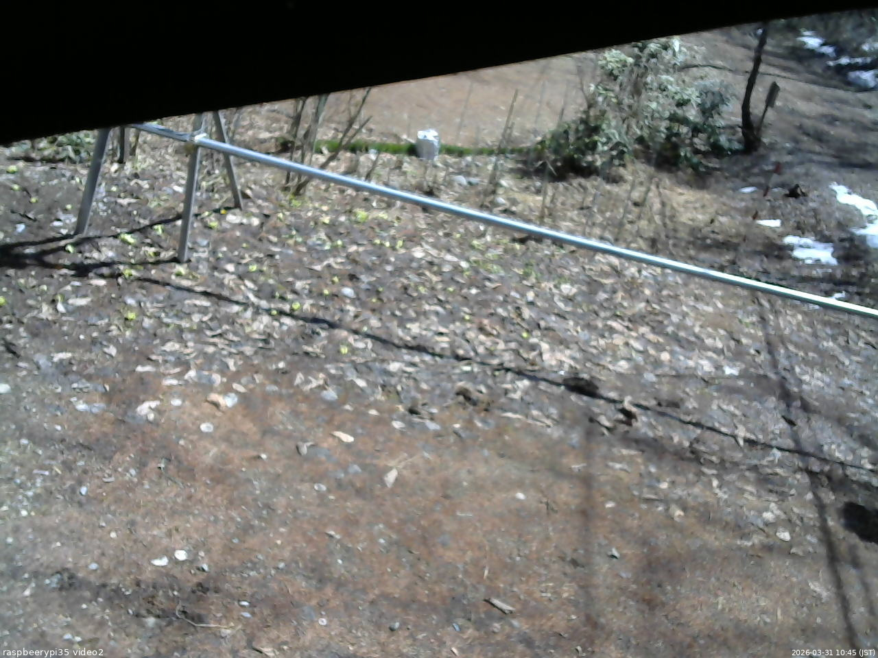 長野県菅平高原 ゆたか山荘 駐車場 2026/03/31 10:45