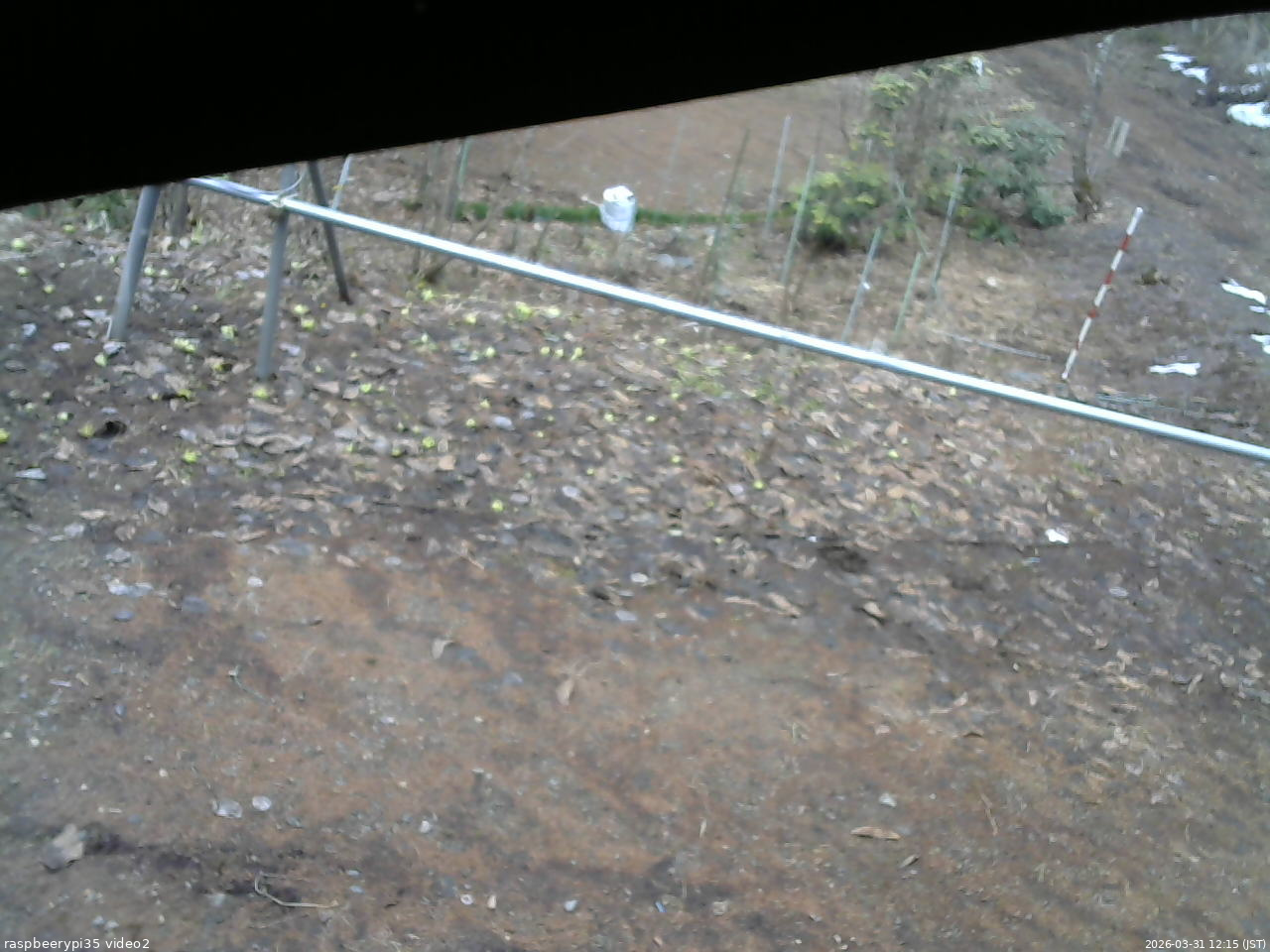 長野県菅平高原 ゆたか山荘 駐車場 2026/03/31 12:15