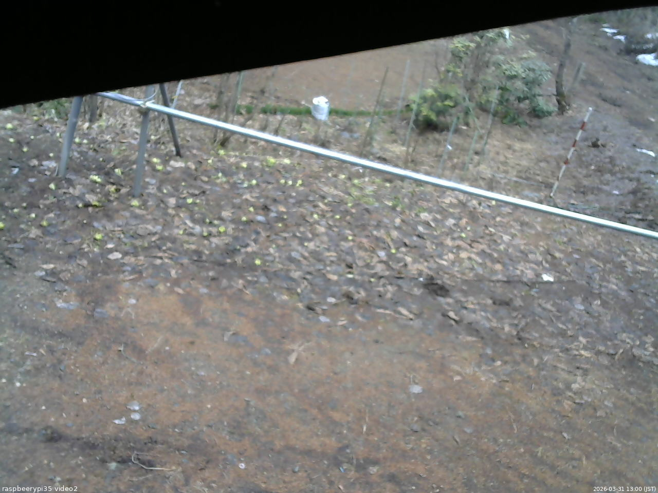 長野県菅平高原 ゆたか山荘 駐車場 2026/03/31 13:00