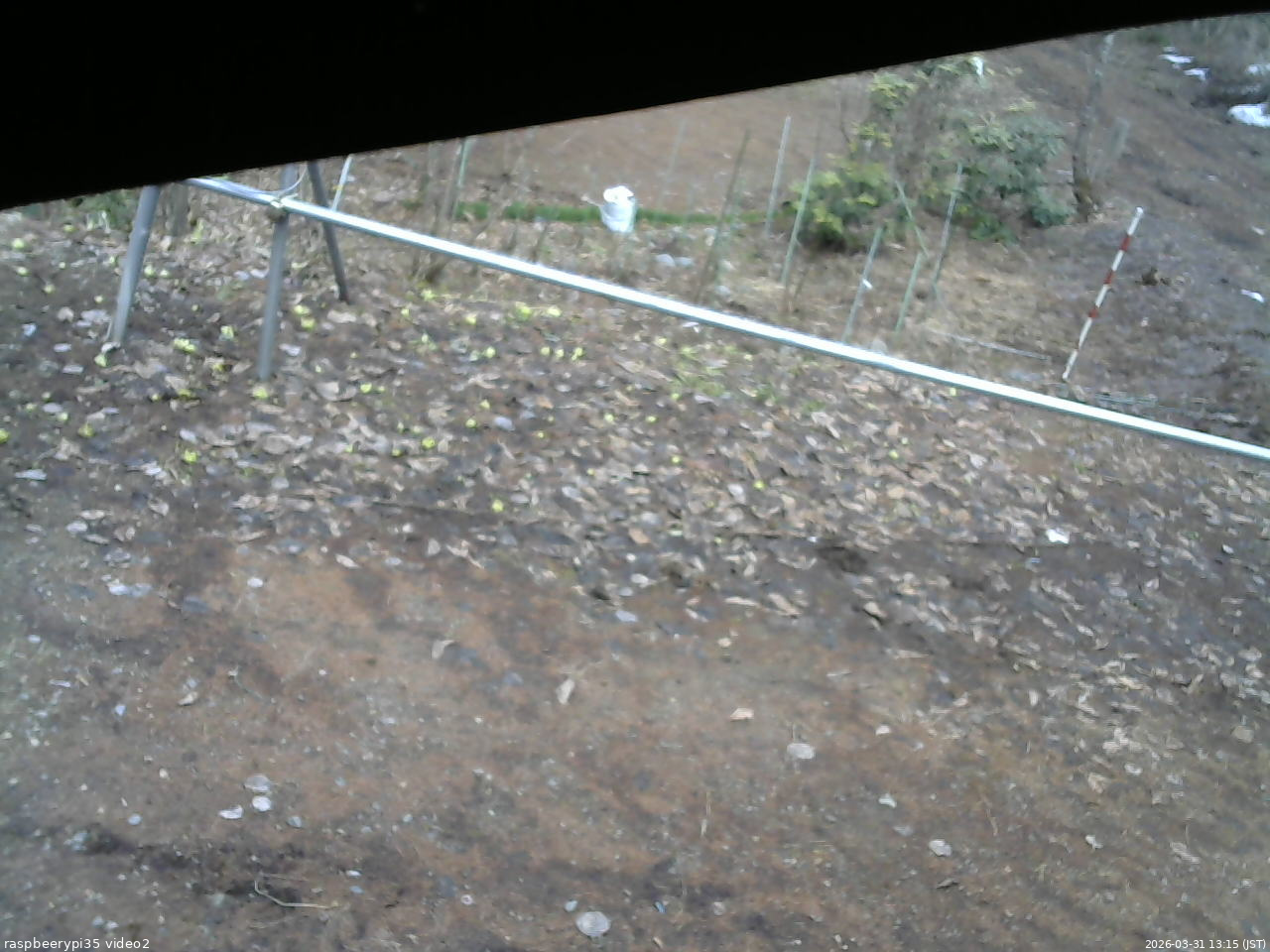 長野県菅平高原 ゆたか山荘 駐車場 2026/03/31 13:15
