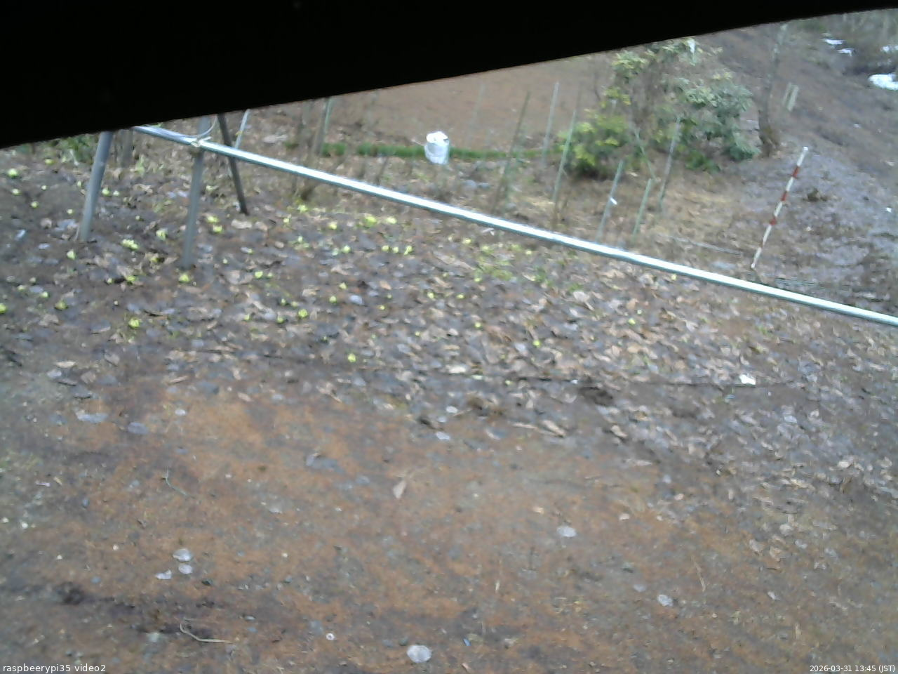長野県菅平高原 ゆたか山荘 駐車場 2026/03/31 13:45