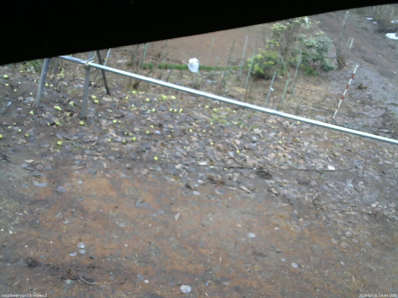 長野県菅平高原 ゆたか山荘 駐車場 2026/03/31 14:45