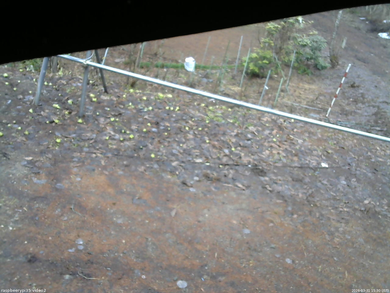 長野県菅平高原 ゆたか山荘 駐車場 2026/03/31 15:30
