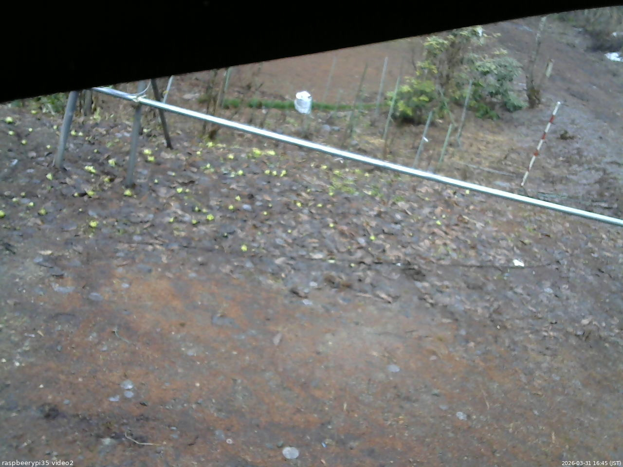 長野県菅平高原 ゆたか山荘 駐車場 2026/03/31 16:45