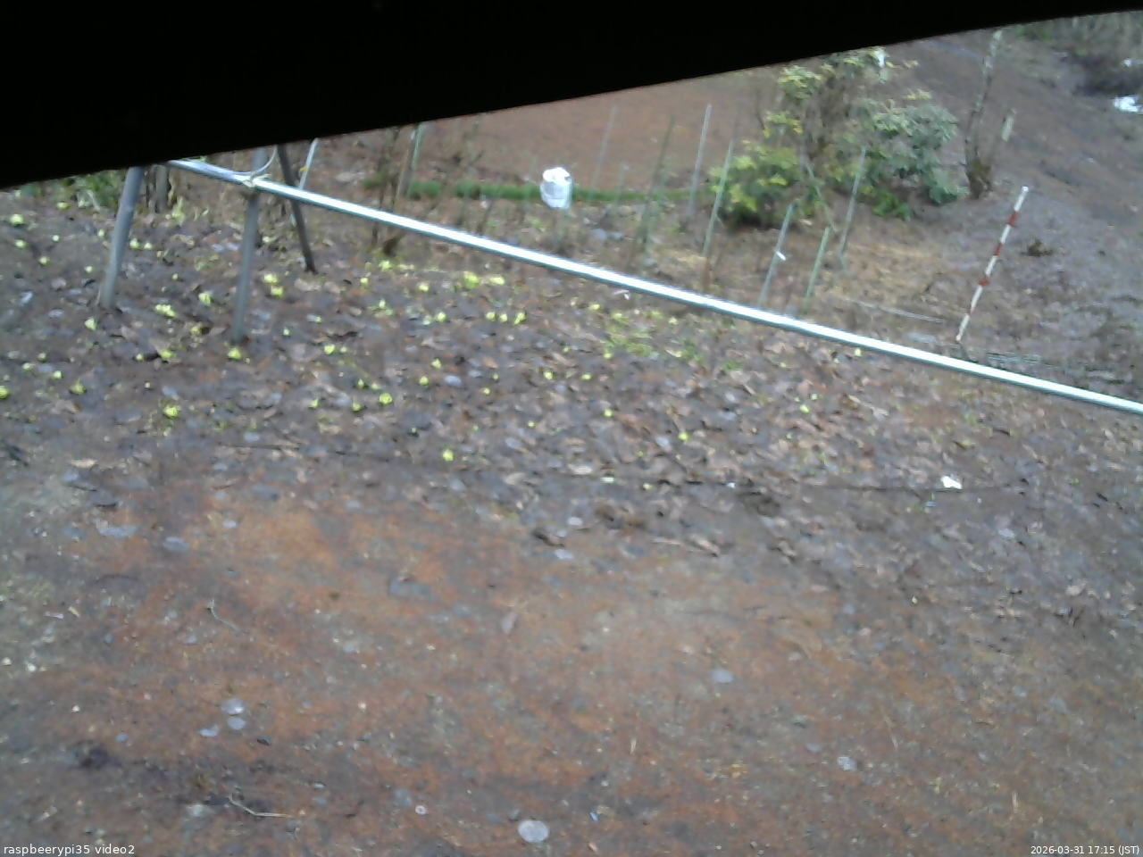 長野県菅平高原 ゆたか山荘 駐車場 2026/03/31 17:15
